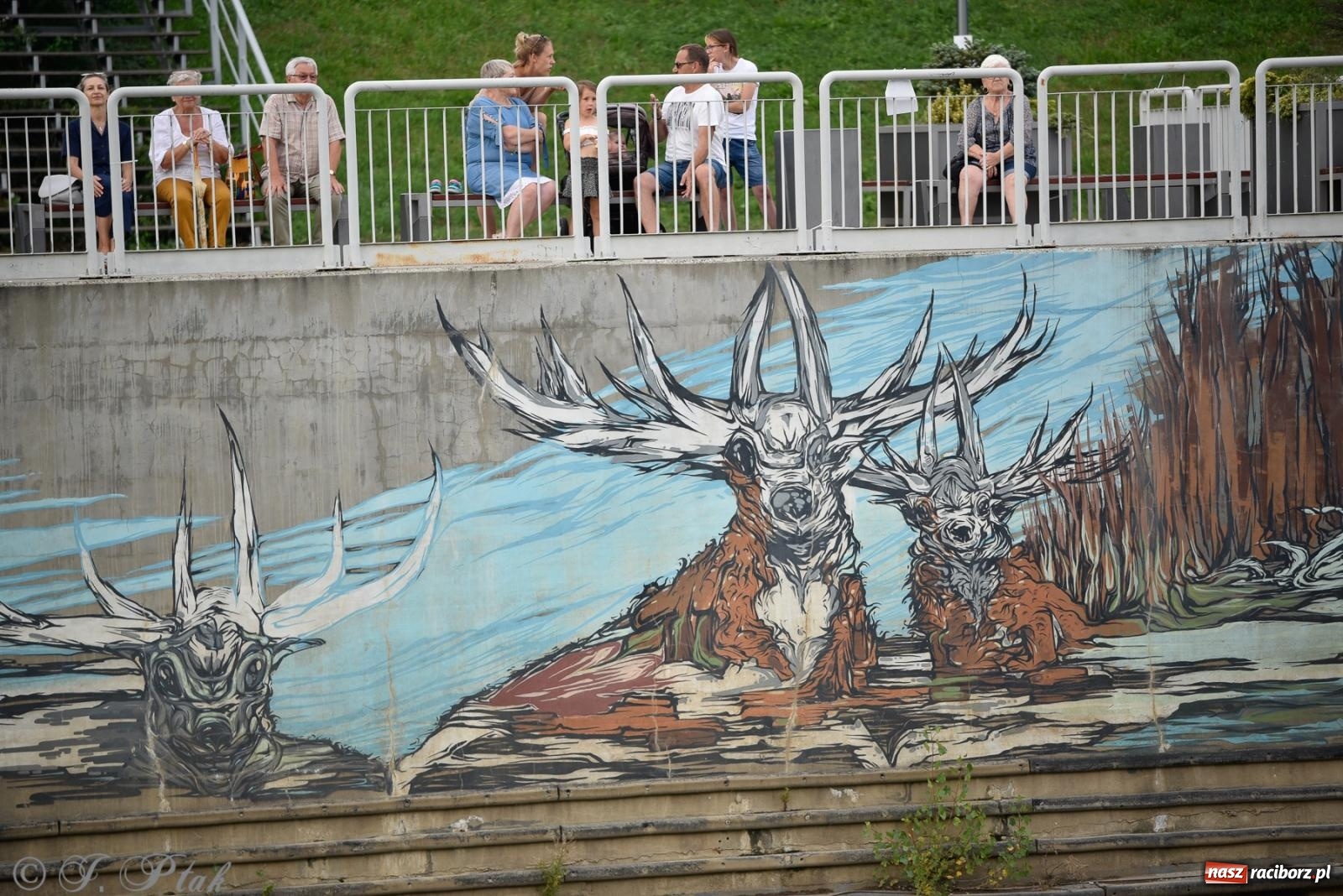 Zdjęcie w galerii na portalu naszraciborz.pl: Letnie koncerty na Bulwarach Nadodrzańskich - Elara Classic Trio wiadomości z regionu