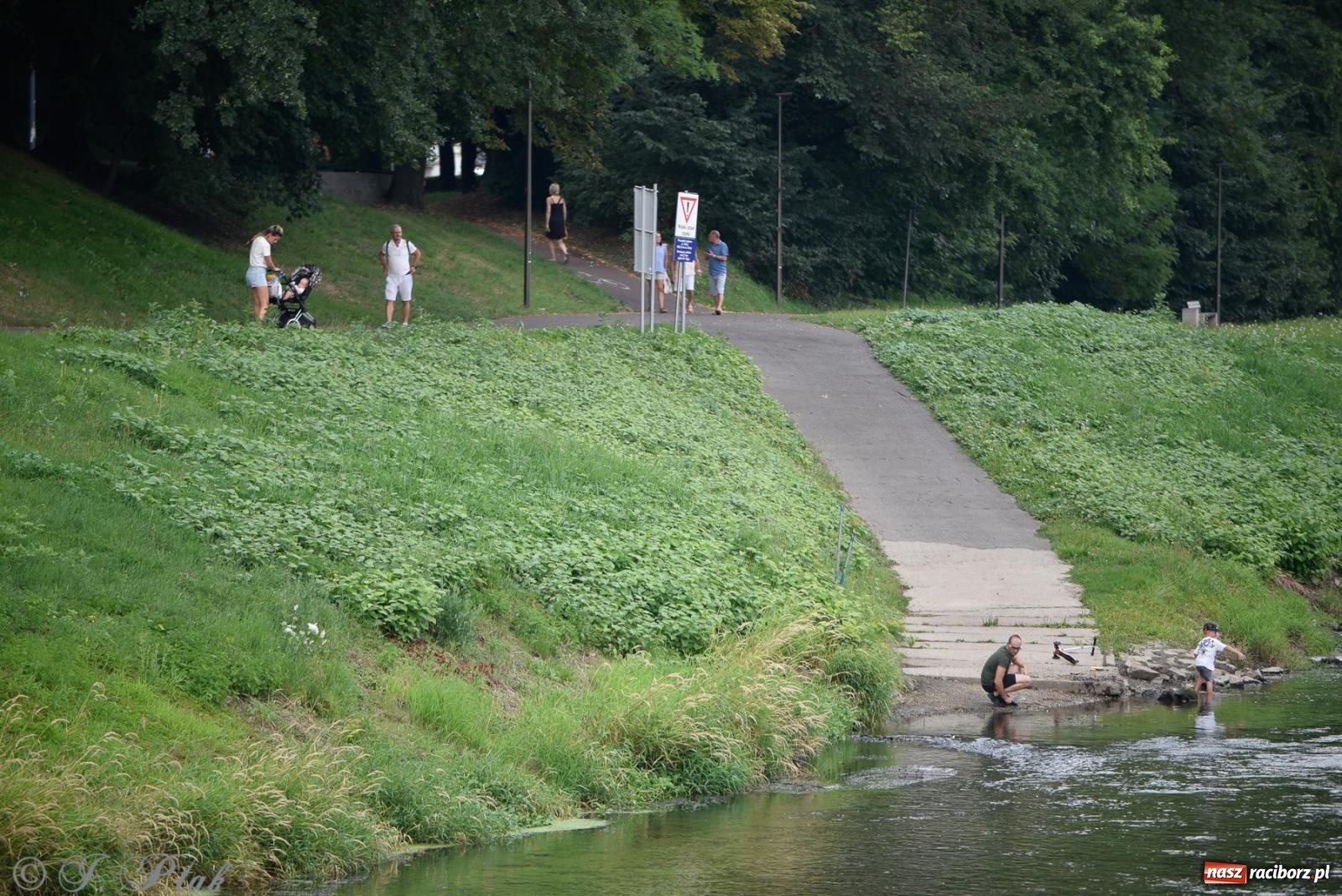 Zdjęcie w galerii na portalu naszraciborz.pl: Letnie koncerty na Bulwarach Nadodrzańskich - Elara Classic Trio wiadomości z regionu