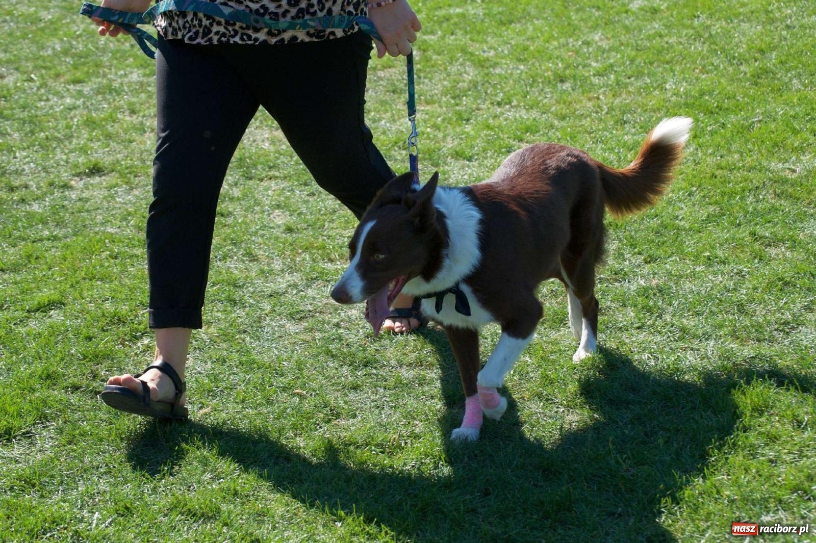 Zdjęcie w galerii na portalu naszraciborz.pl: Mutry kontra mamuśki - pełna emocji rywalizacja o puchar sołtysa w Tworkowie [FOTO] wiadomości z regionu