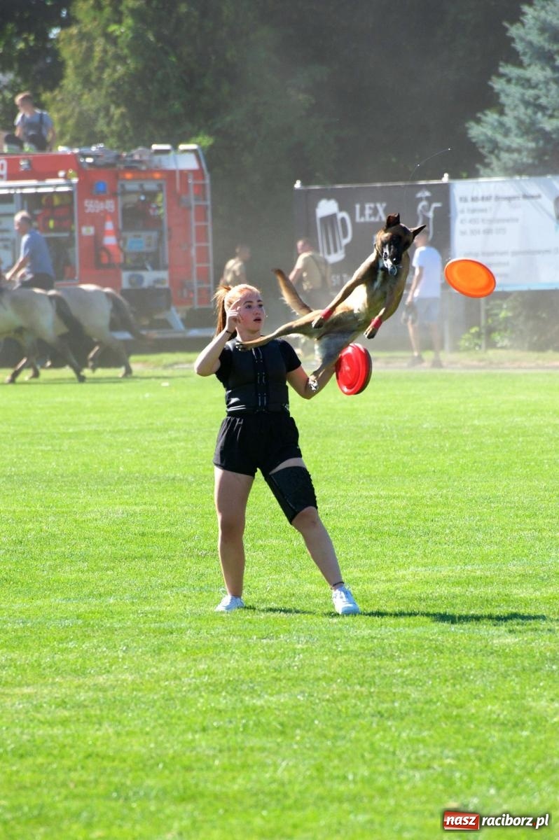 Zdjęcie w galerii na portalu naszraciborz.pl: Mutry kontra mamuśki - pełna emocji rywalizacja o puchar sołtysa w Tworkowie [FOTO] wiadomości z regionu