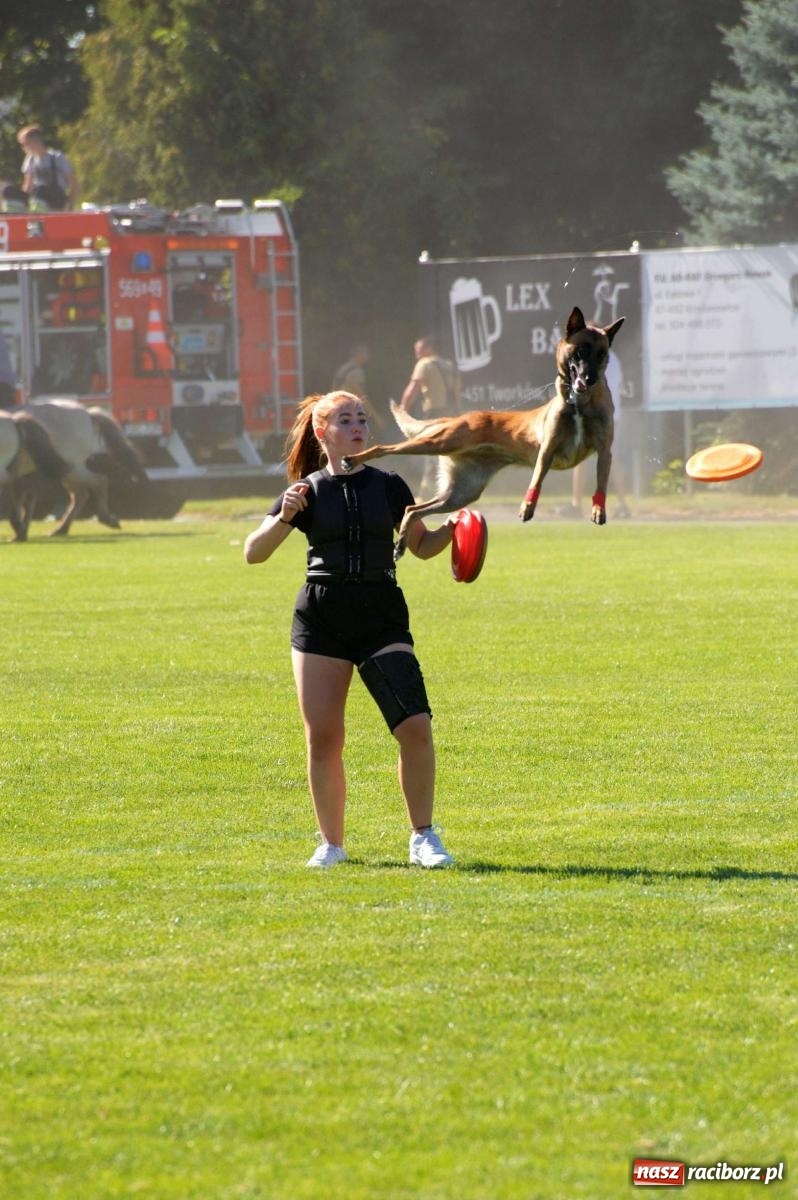 Zdjęcie w galerii na portalu naszraciborz.pl: Mutry kontra mamuśki - pełna emocji rywalizacja o puchar sołtysa w Tworkowie [FOTO] wiadomości z regionu