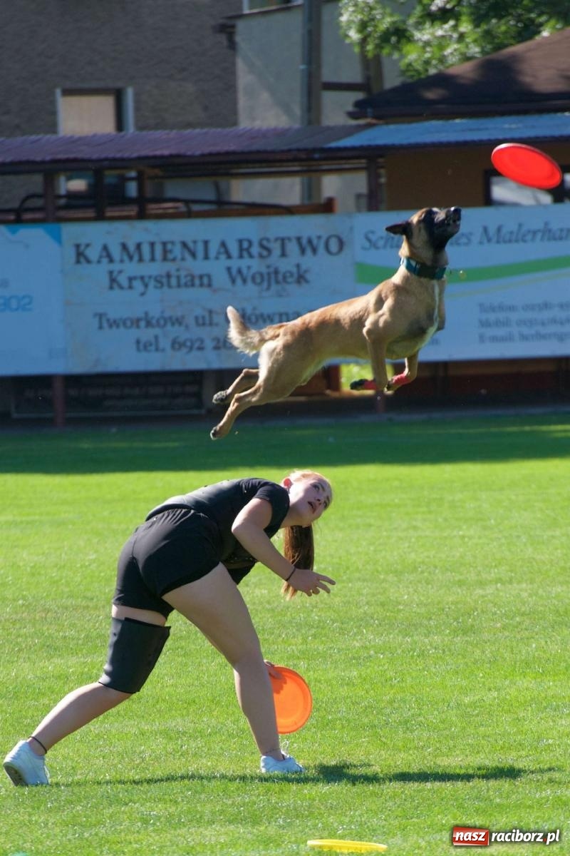 Zdjęcie w galerii na portalu naszraciborz.pl: Mutry kontra mamuśki - pełna emocji rywalizacja o puchar sołtysa w Tworkowie [FOTO] wiadomości z regionu
