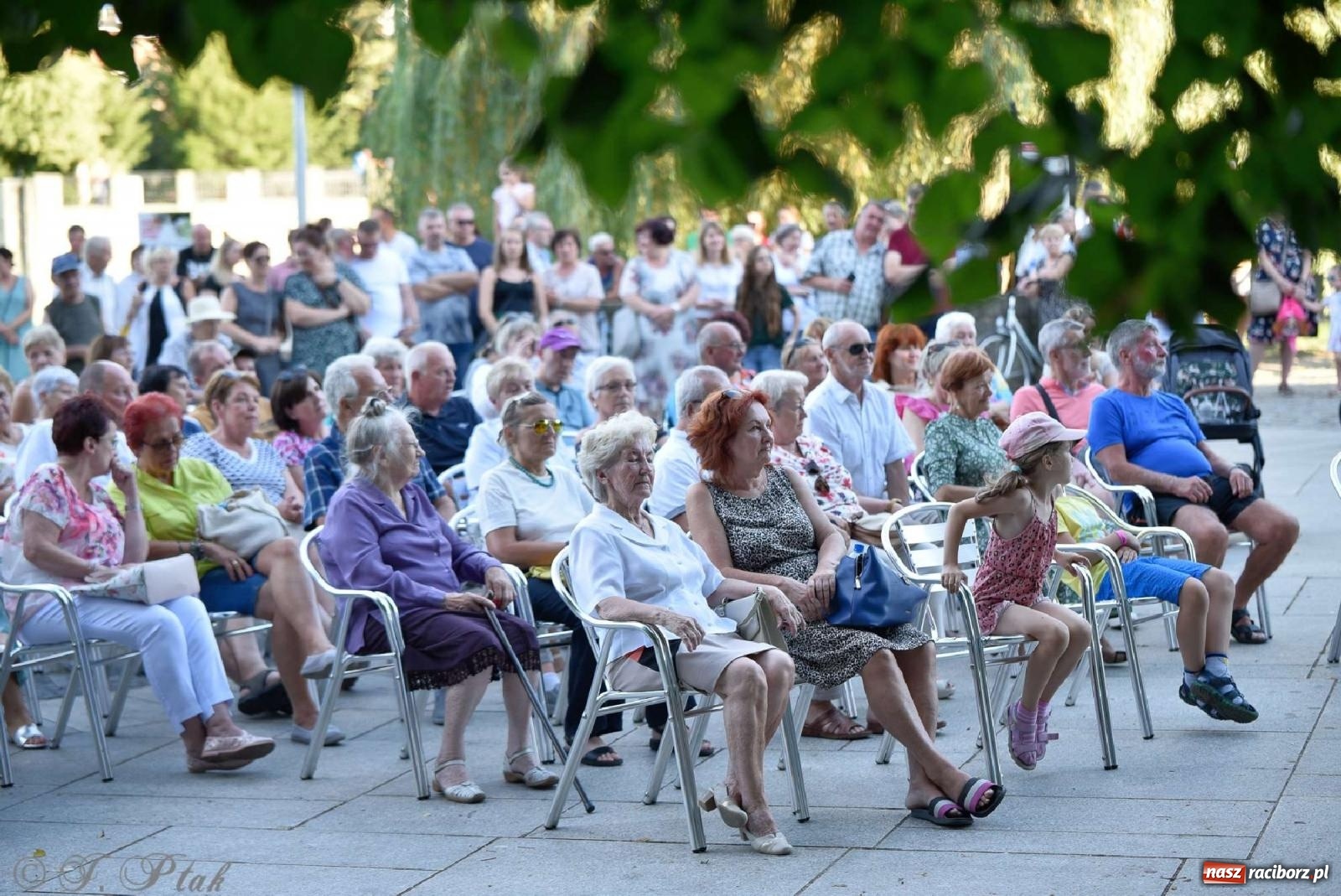 Zdjęcie w galerii na portalu naszraciborz.pl: Saksoholicy na letni wieczór w Raciborzu wiadomości z regionu