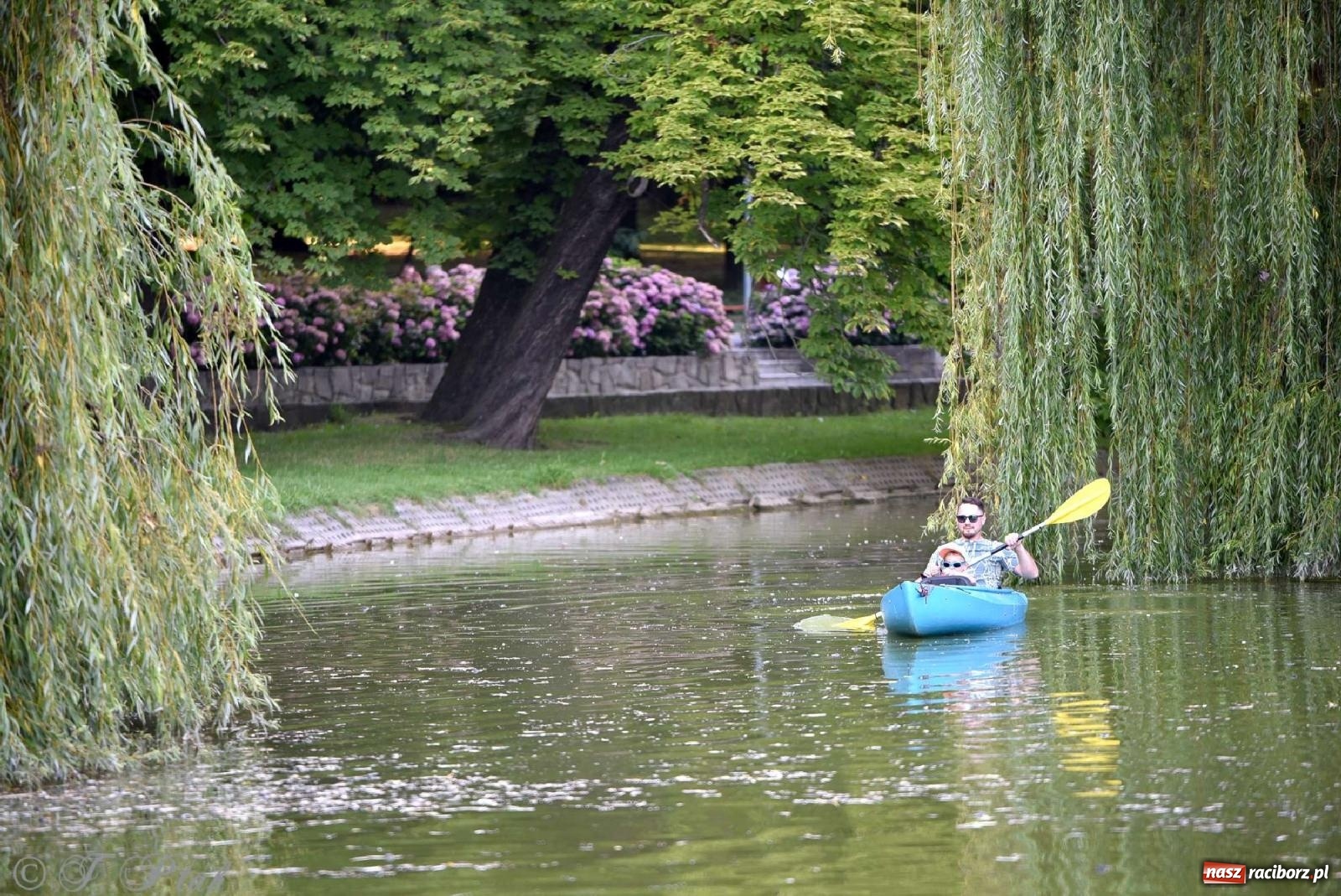 Zdjęcie w galerii na portalu naszraciborz.pl: Saksoholicy na letni wieczór w Raciborzu wiadomości z regionu