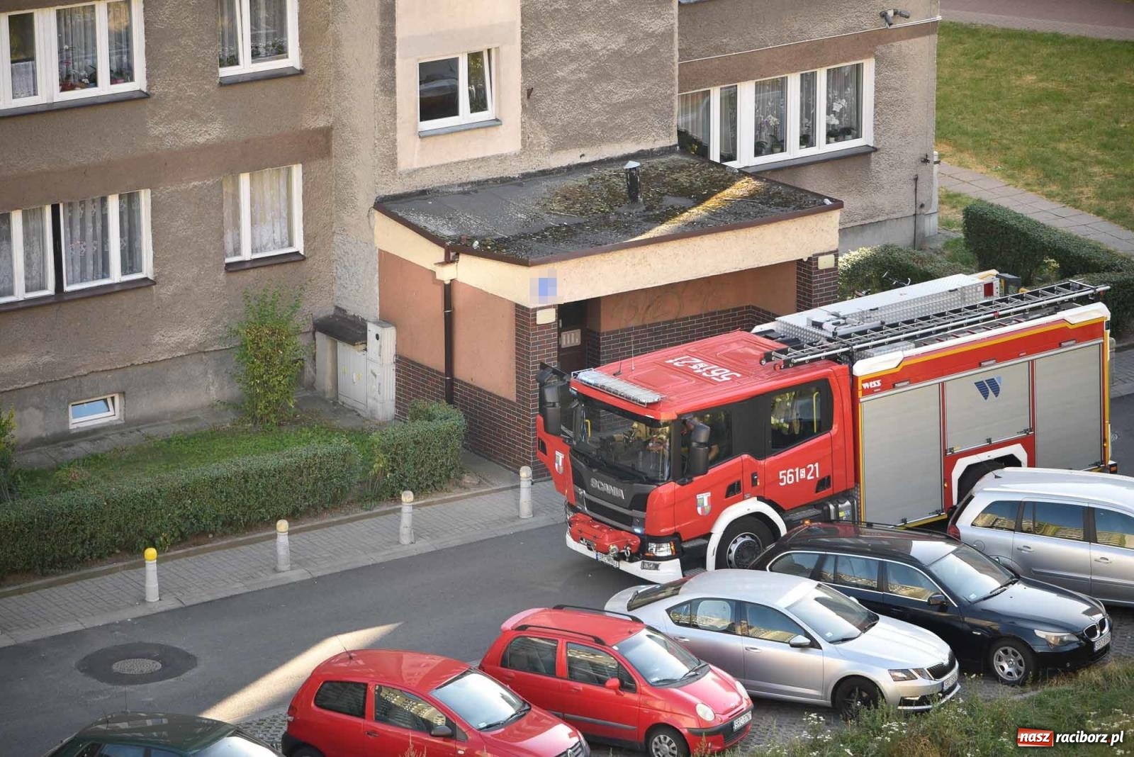 Zdjęcie w galerii na portalu naszraciborz.pl: Raport 998. Dwie kolizje, pożar i owady. Czad przy Katowickiej wiadomości z regionu