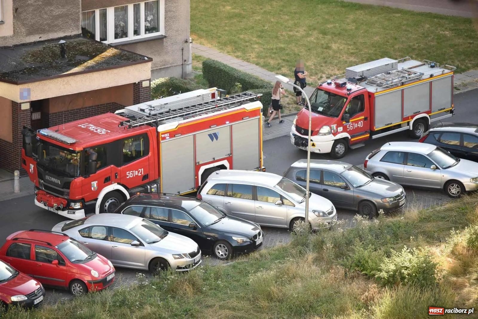Zdjęcie w galerii na portalu naszraciborz.pl: Raport 998. Dwie kolizje, pożar i owady. Czad przy Katowickiej wiadomości z regionu