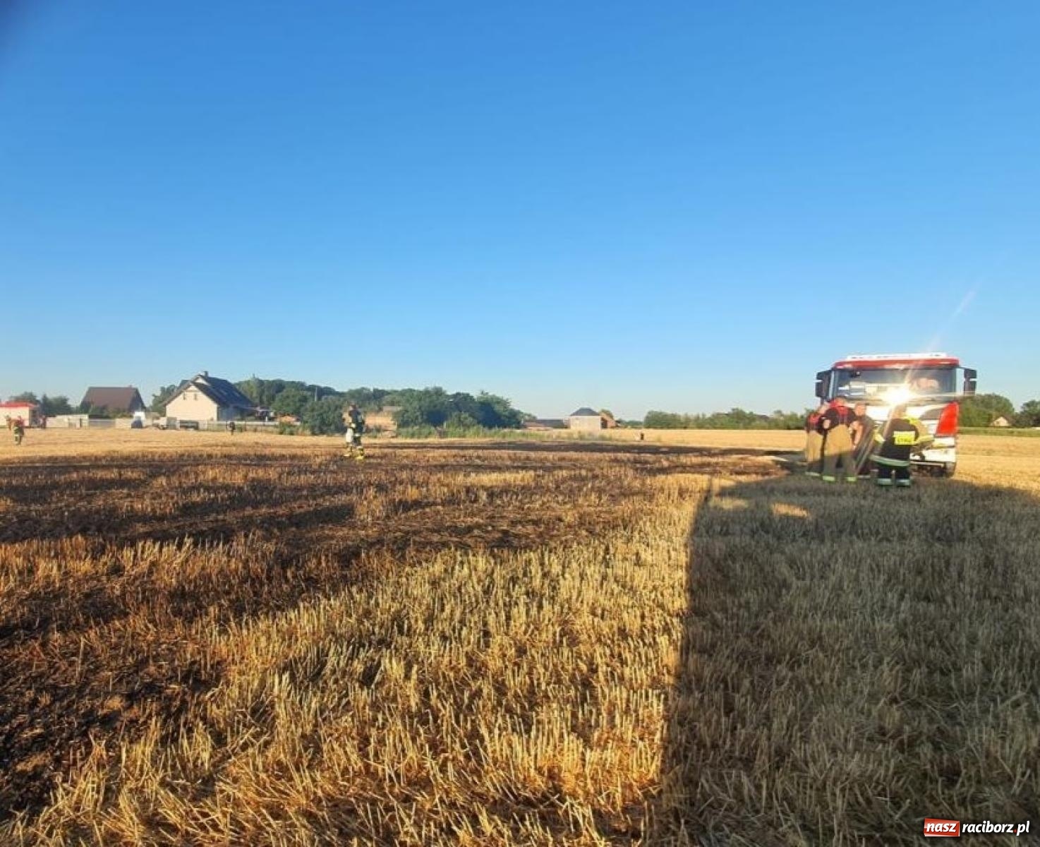 Zdjęcie w galerii na portalu naszraciborz.pl: Raport 998. Dwie kolizje, pożar i owady. Czad przy Katowickiej wiadomości z regionu
