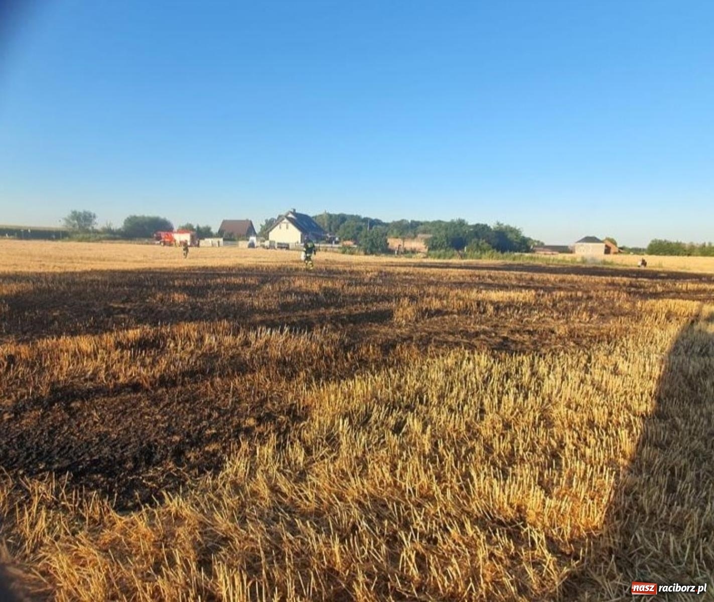 Zdjęcie w galerii na portalu naszraciborz.pl: Raport 998. Dwie kolizje, pożar i owady. Czad przy Katowickiej wiadomości z regionu