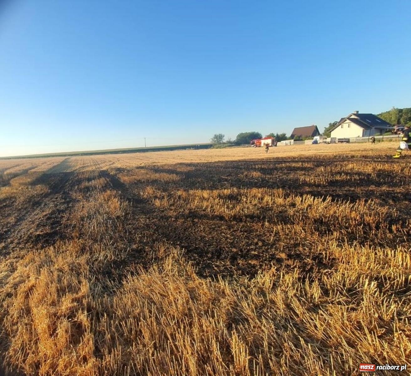 Zdjęcie w galerii na portalu naszraciborz.pl: Raport 998. Dwie kolizje, pożar i owady. Czad przy Katowickiej wiadomości z regionu