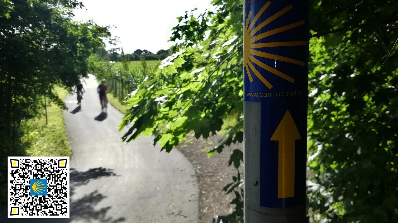 Zdjęcie w galerii na portalu naszraciborz.pl: Powiat Raciborski - niebanalne ścieżki do gwiezdnego pola wiadomości z regionu