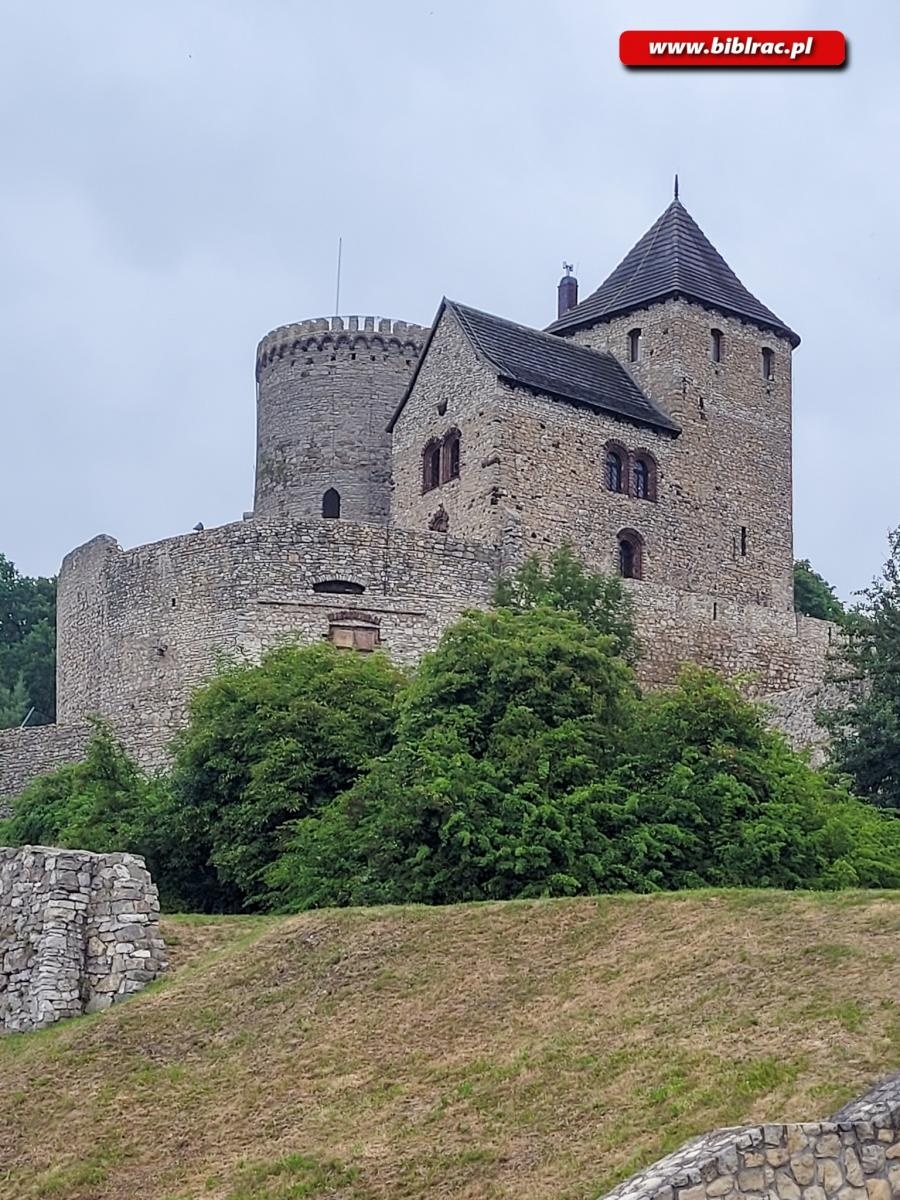 Zdjęcie w galerii na portalu naszraciborz.pl: Przyjaciele biblioteki odwiedzili Będzin wiadomości z regionu