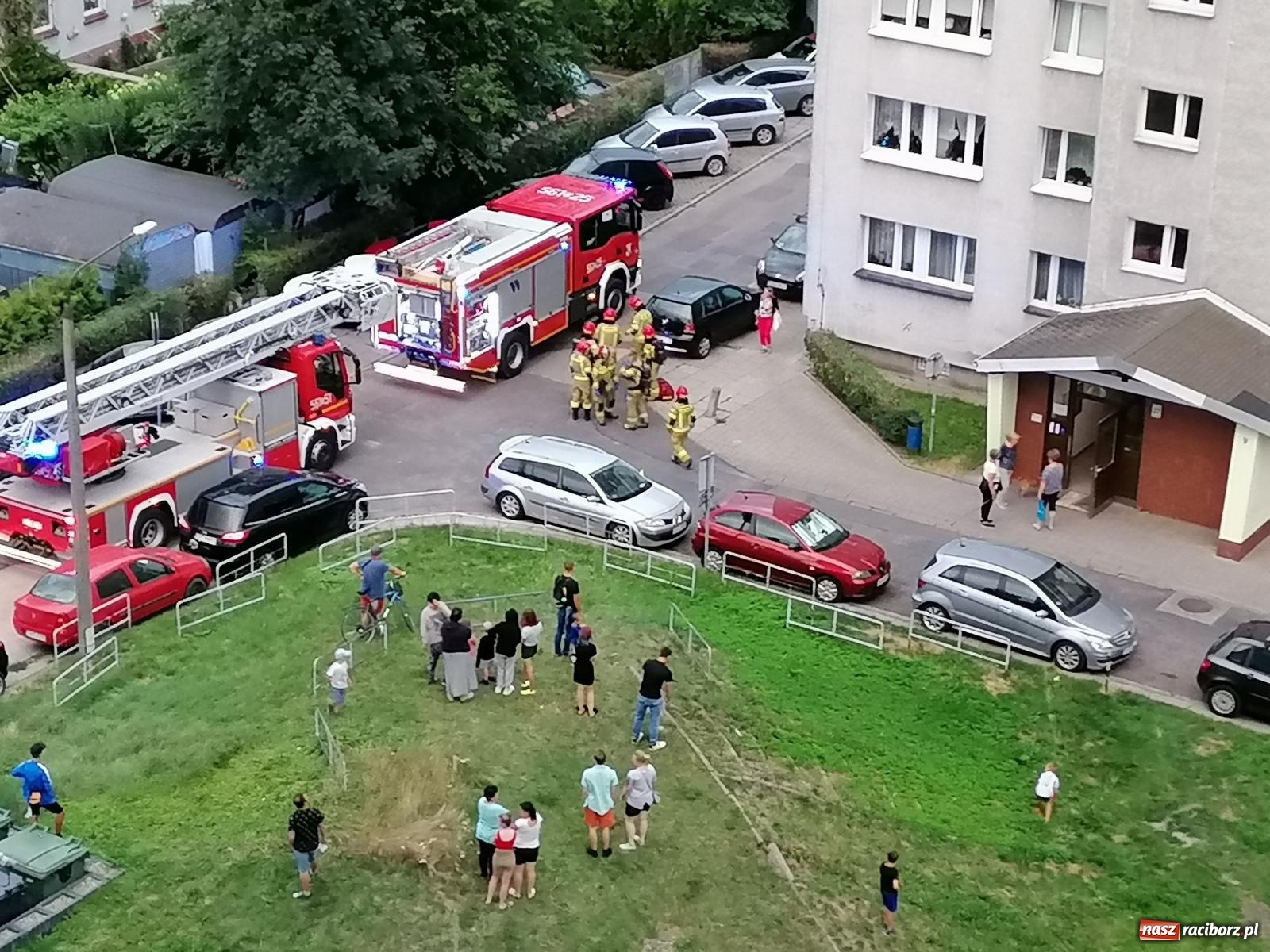 Zdjęcie w galerii na portalu naszraciborz.pl: Raport 998. Strażacka akcja przy Katowickiej [FOTO] wiadomości z regionu