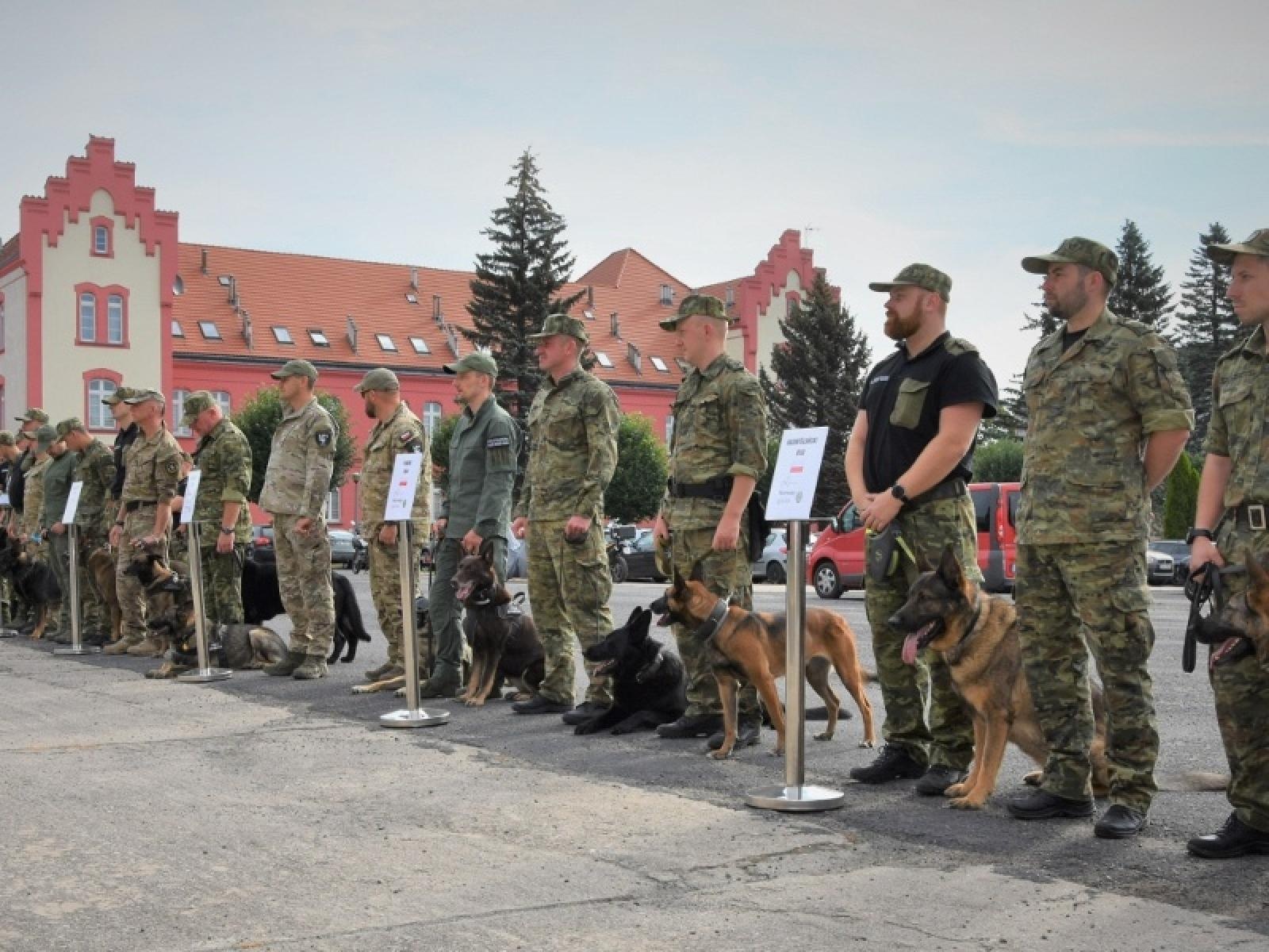 Zdjęcie w galerii na portalu naszraciborz.pl: Śląscy pogranicznicy z Raciborza z medalami mistrzostw kynologicznych wiadomości z regionu