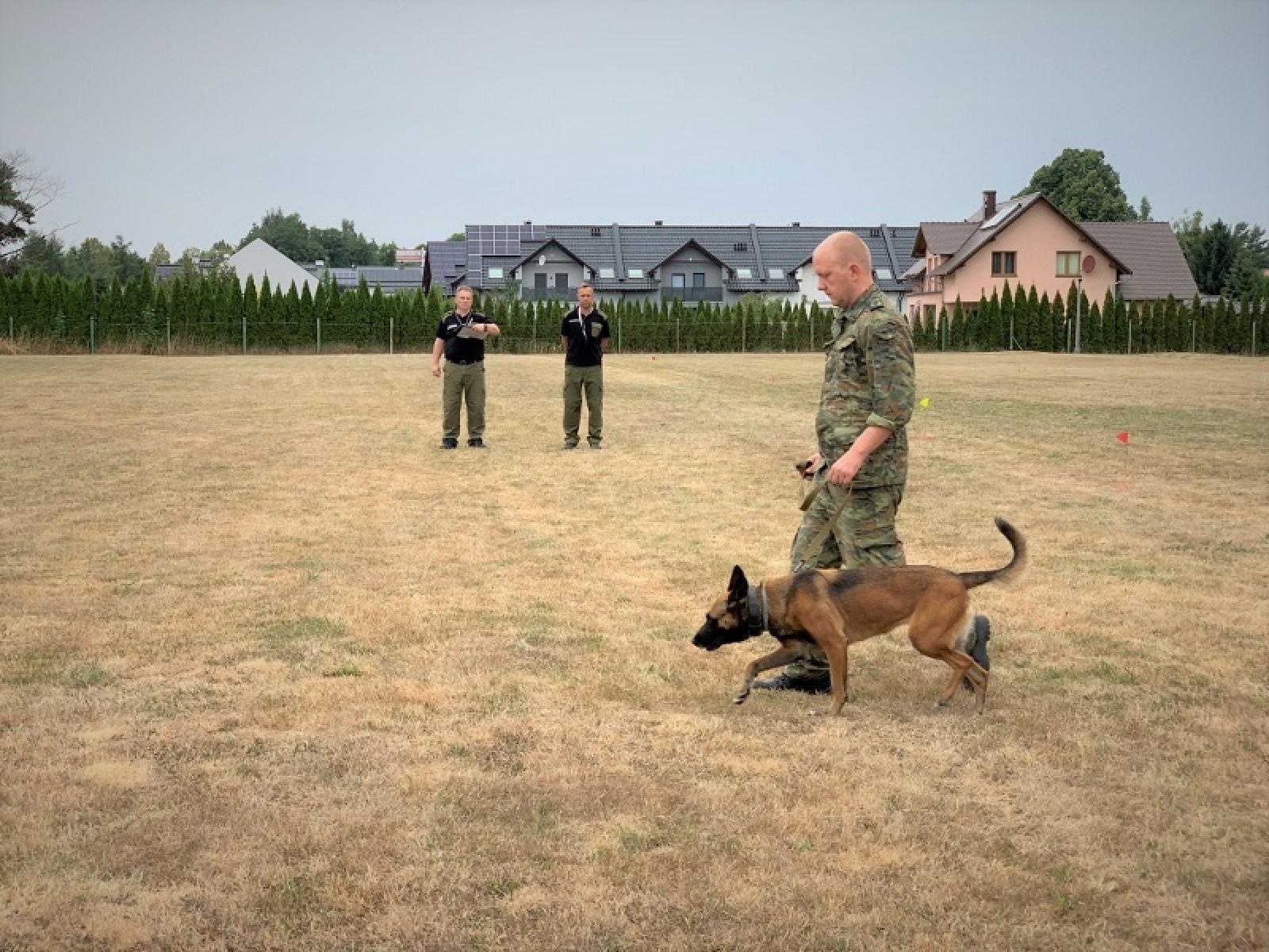 Zdjęcie w galerii na portalu naszraciborz.pl: Śląscy pogranicznicy z Raciborza z medalami mistrzostw kynologicznych wiadomości z regionu