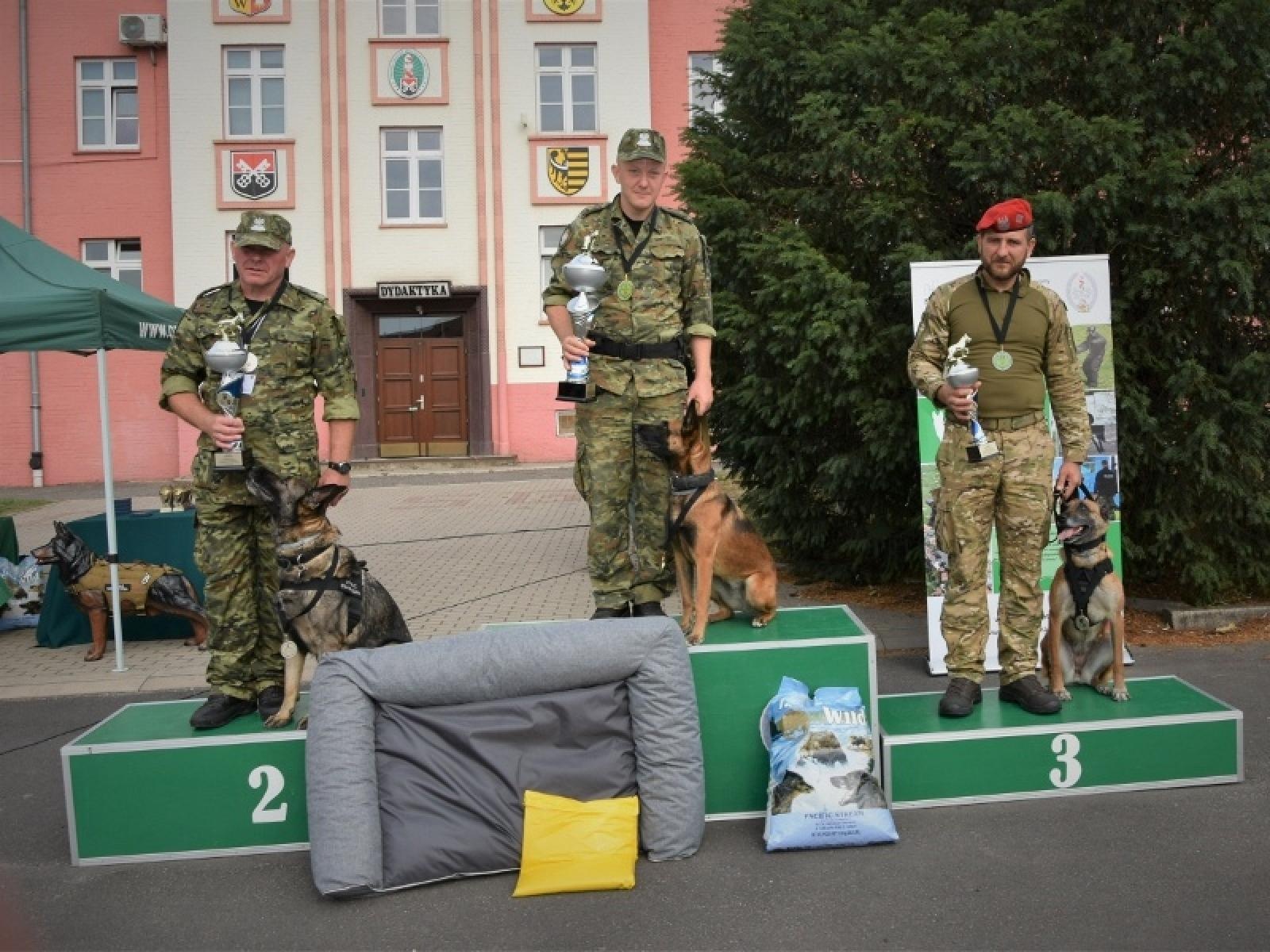 Zdjęcie w galerii na portalu naszraciborz.pl: Śląscy pogranicznicy z Raciborza z medalami mistrzostw kynologicznych wiadomości z regionu