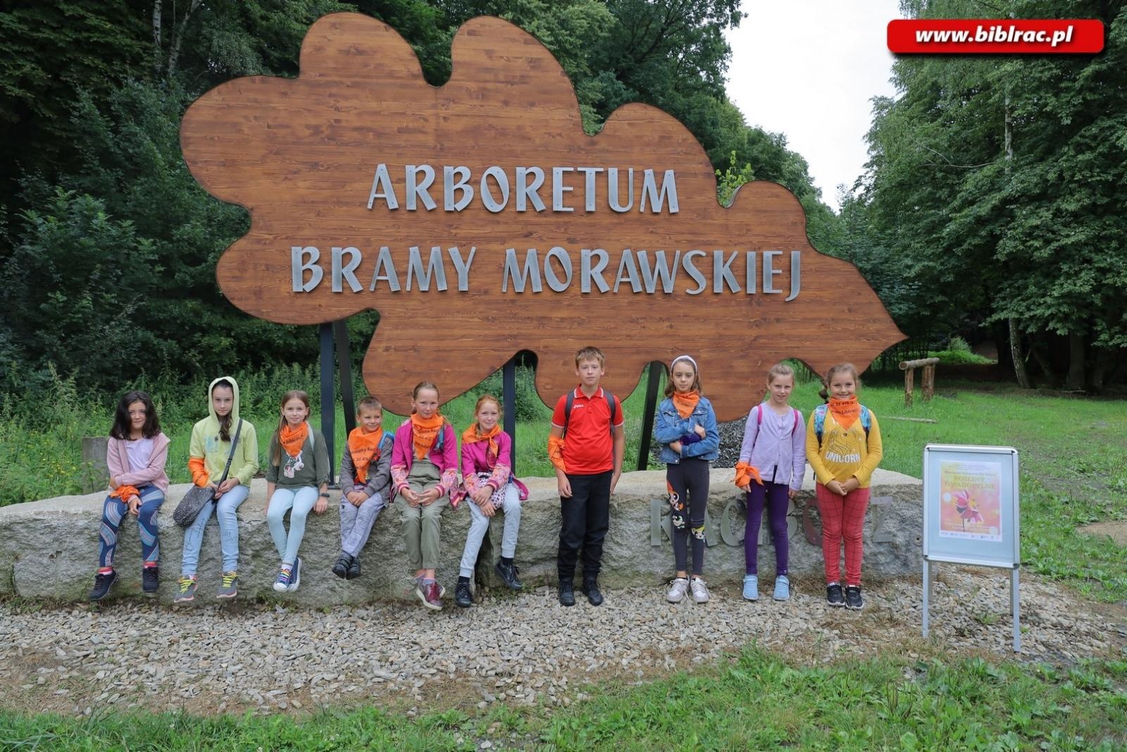 Zdjęcie w galerii na portalu naszraciborz.pl: Rośliny owadopylne, owady roślinopylne – warsztaty w Arboretum wiadomości z regionu