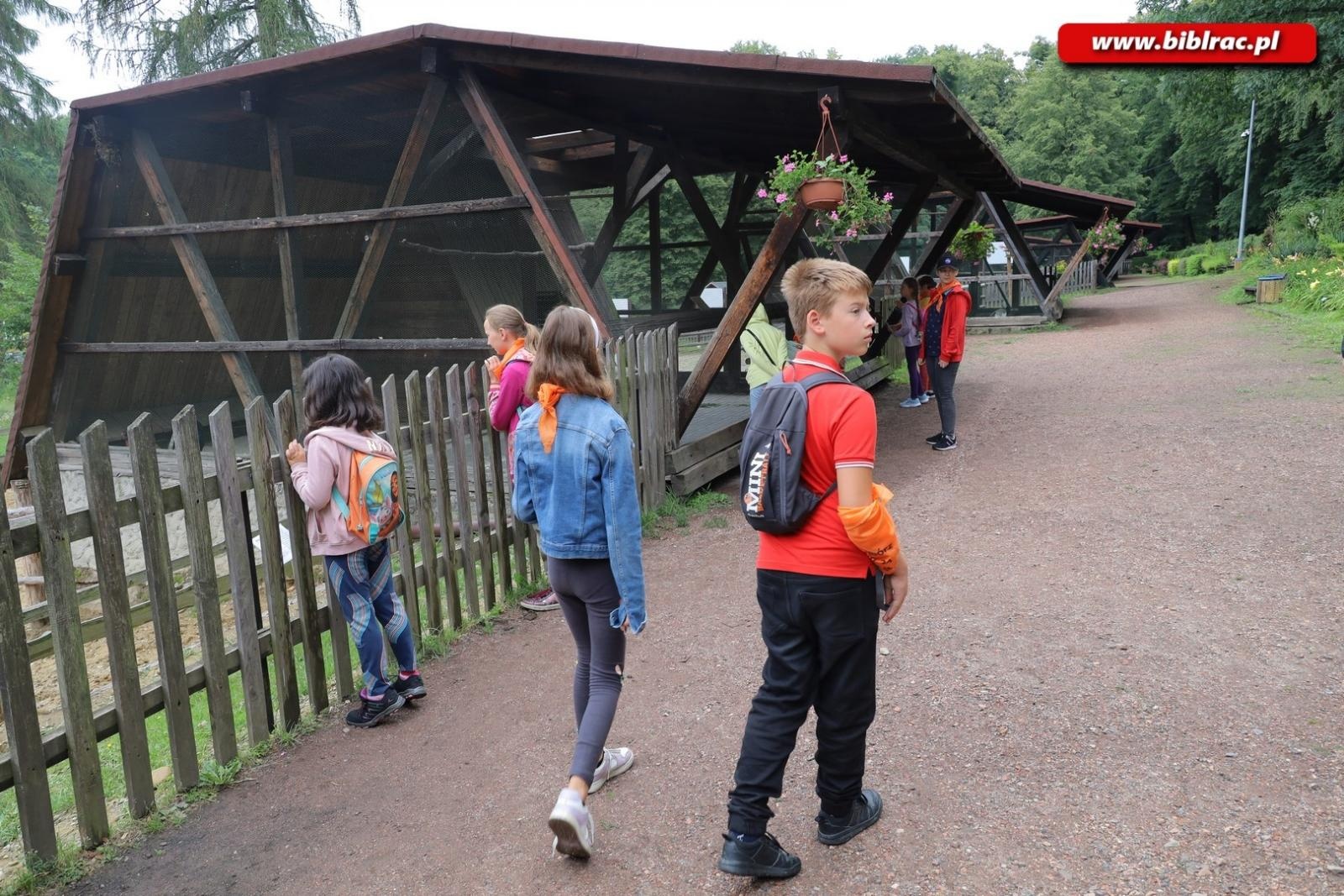 Zdjęcie w galerii na portalu naszraciborz.pl: Rośliny owadopylne, owady roślinopylne – warsztaty w Arboretum wiadomości z regionu