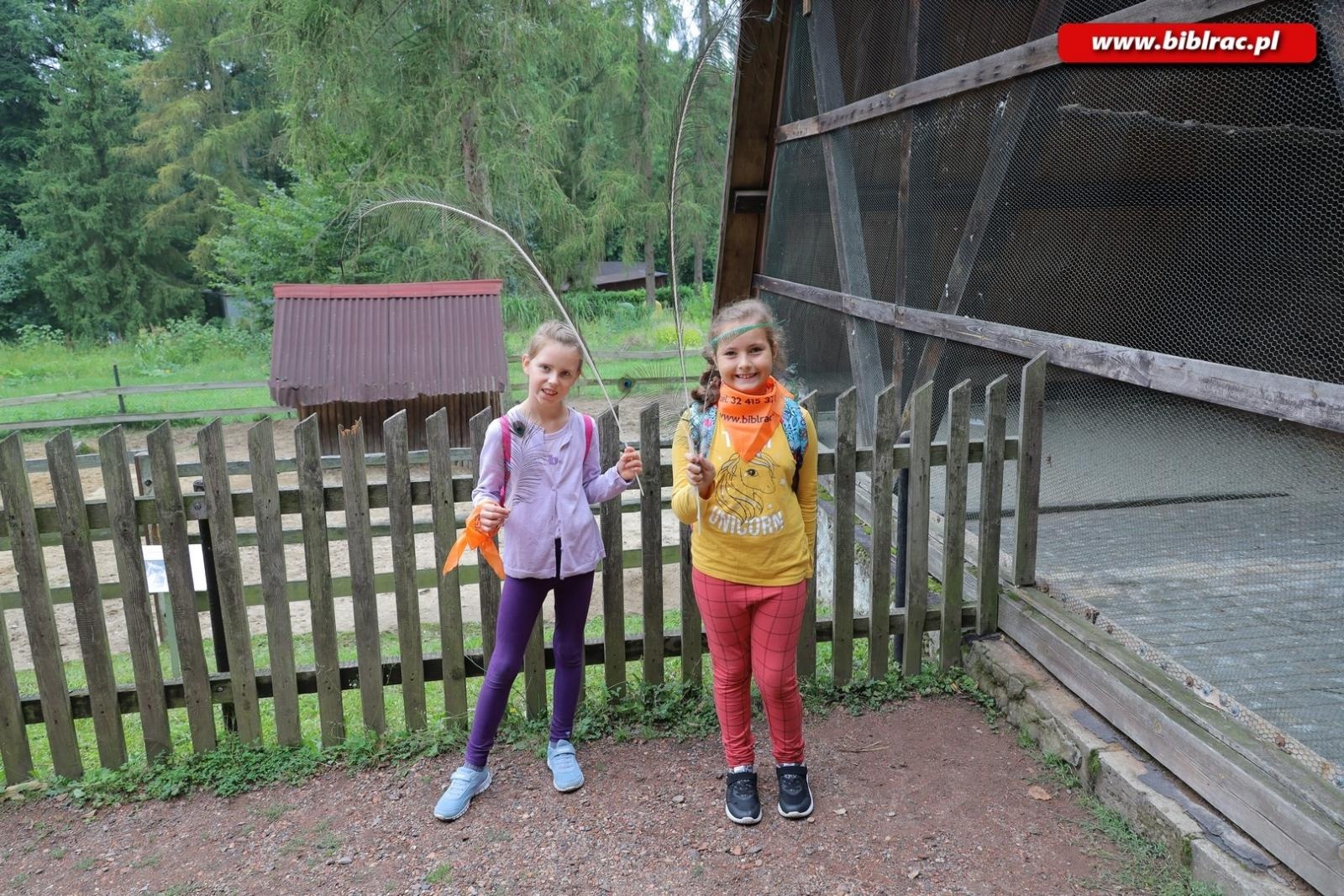 Zdjęcie w galerii na portalu naszraciborz.pl: Rośliny owadopylne, owady roślinopylne – warsztaty w Arboretum wiadomości z regionu