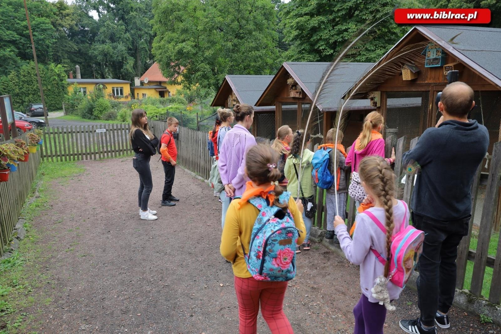 Zdjęcie w galerii na portalu naszraciborz.pl: Rośliny owadopylne, owady roślinopylne – warsztaty w Arboretum wiadomości z regionu