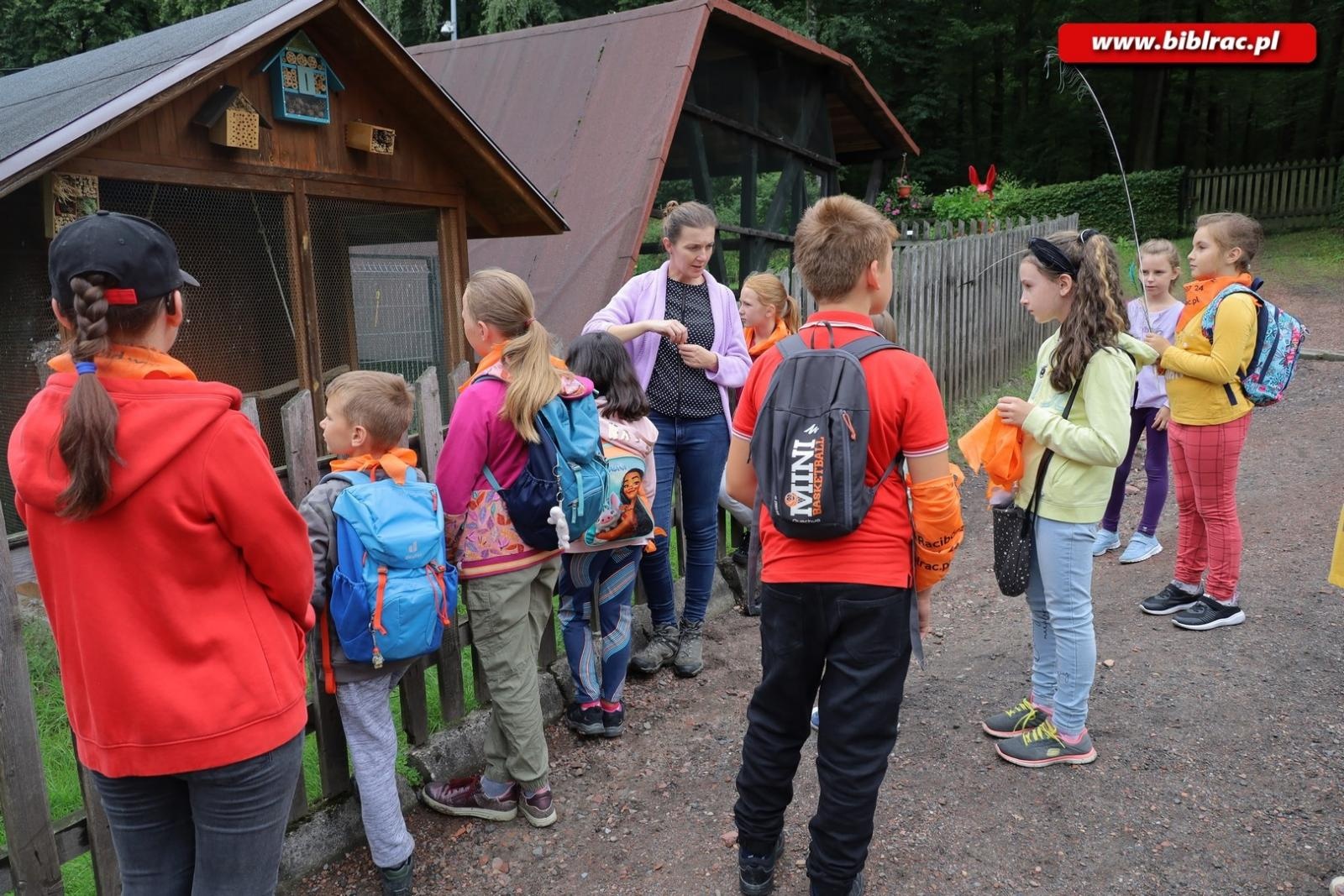 Zdjęcie w galerii na portalu naszraciborz.pl: Rośliny owadopylne, owady roślinopylne – warsztaty w Arboretum wiadomości z regionu
