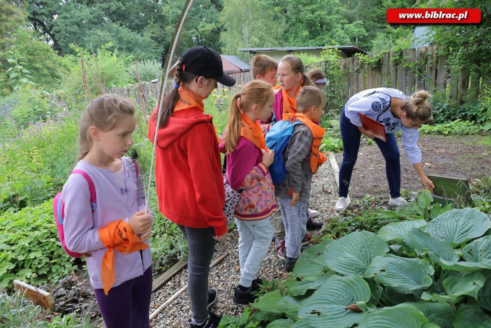 Zdjęcie w galerii na portalu naszraciborz.pl: Rośliny owadopylne, owady roślinopylne – warsztaty w Arboretum wiadomości z regionu