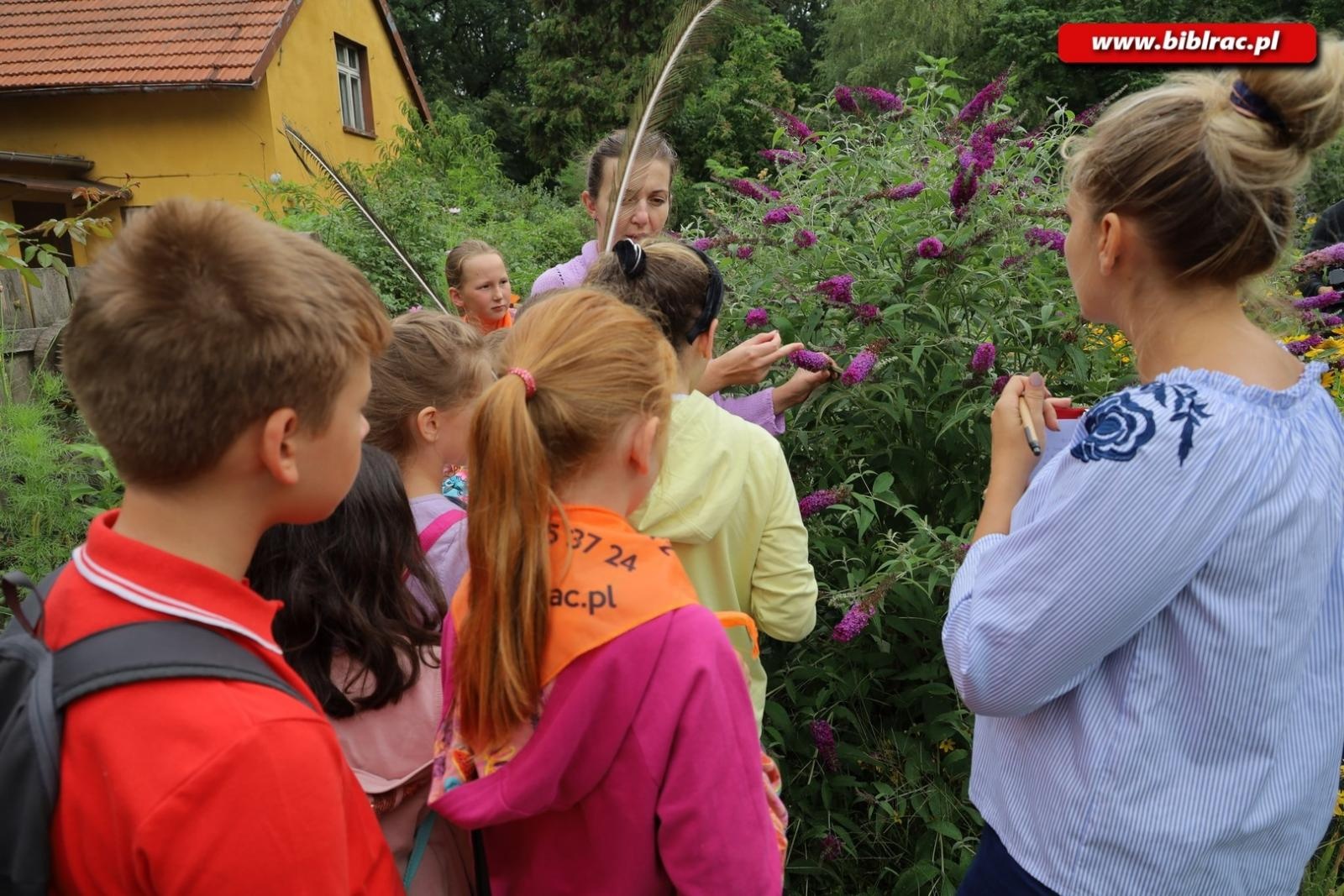Zdjęcie w galerii na portalu naszraciborz.pl: Rośliny owadopylne, owady roślinopylne – warsztaty w Arboretum wiadomości z regionu
