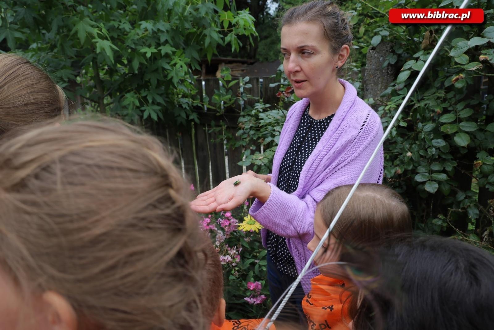 Zdjęcie w galerii na portalu naszraciborz.pl: Rośliny owadopylne, owady roślinopylne – warsztaty w Arboretum wiadomości z regionu