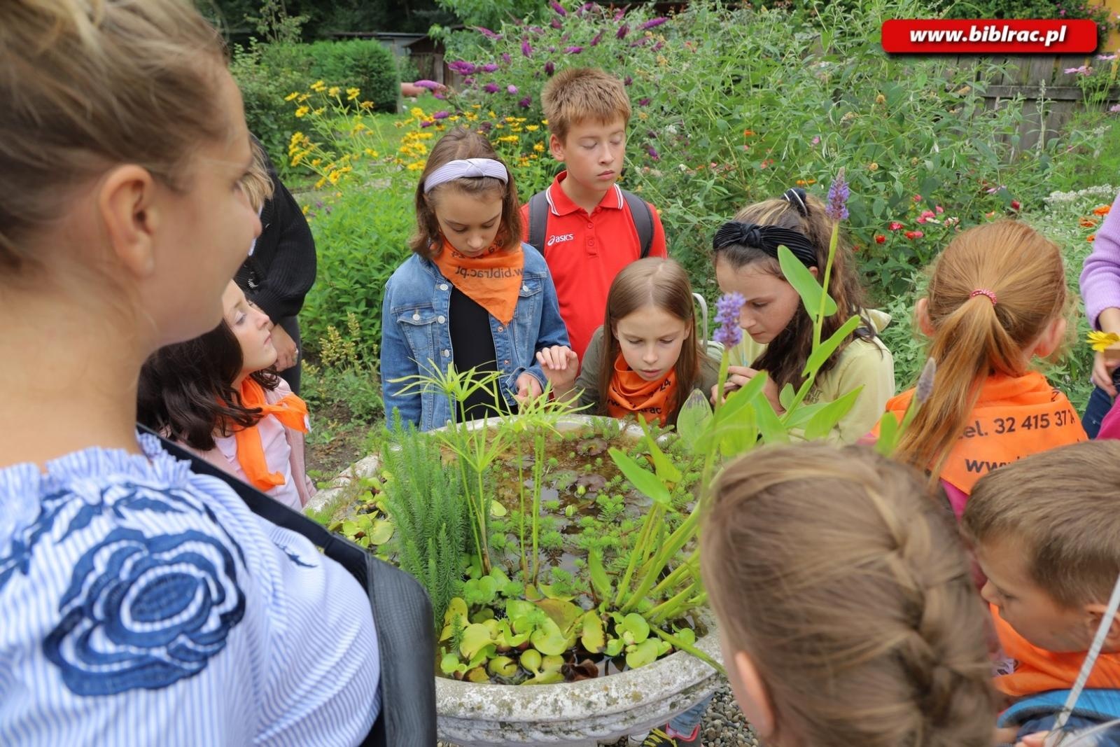 Zdjęcie w galerii na portalu naszraciborz.pl: Rośliny owadopylne, owady roślinopylne – warsztaty w Arboretum wiadomości z regionu