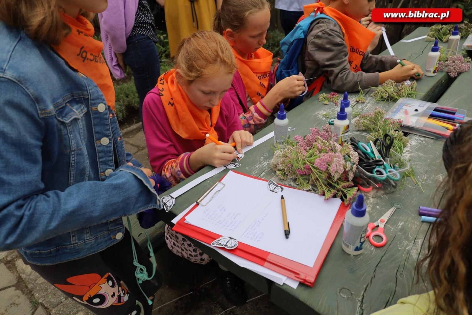 Zdjęcie w galerii na portalu naszraciborz.pl: Rośliny owadopylne, owady roślinopylne – warsztaty w Arboretum wiadomości z regionu
