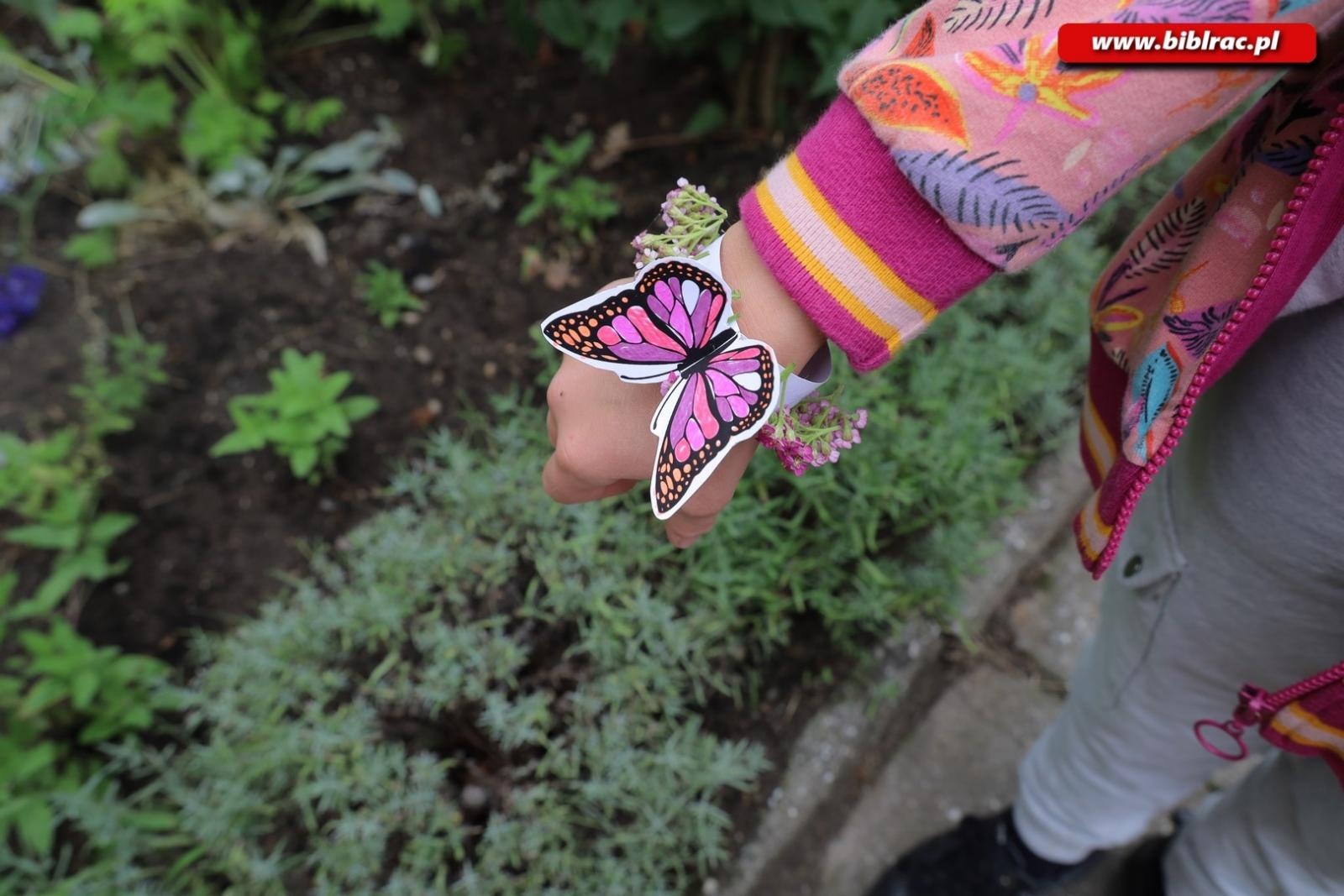 Zdjęcie w galerii na portalu naszraciborz.pl: Rośliny owadopylne, owady roślinopylne – warsztaty w Arboretum wiadomości z regionu