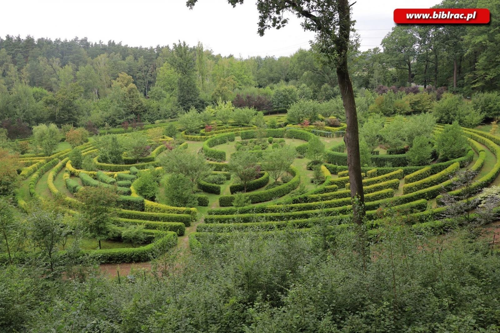 Zdjęcie w galerii na portalu naszraciborz.pl: Rośliny owadopylne, owady roślinopylne – warsztaty w Arboretum wiadomości z regionu