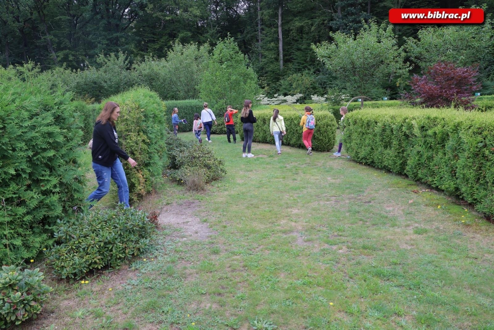 Zdjęcie w galerii na portalu naszraciborz.pl: Rośliny owadopylne, owady roślinopylne – warsztaty w Arboretum wiadomości z regionu