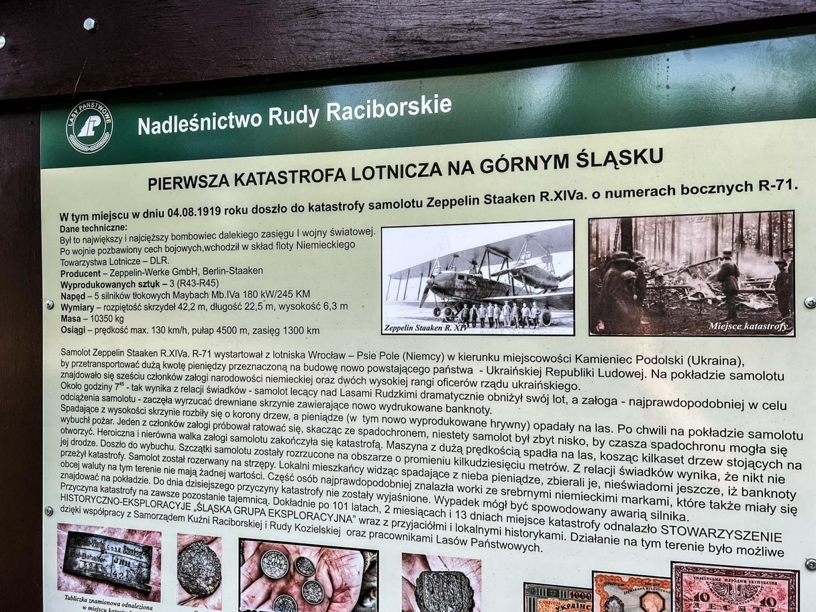 Zdjęcie w galerii na portalu naszraciborz.pl: Katastrofa lotnicza w rudzkich lasach. Pamięć i bolesne epizody polsko-ukraińskich relacji wiadomości z regionu