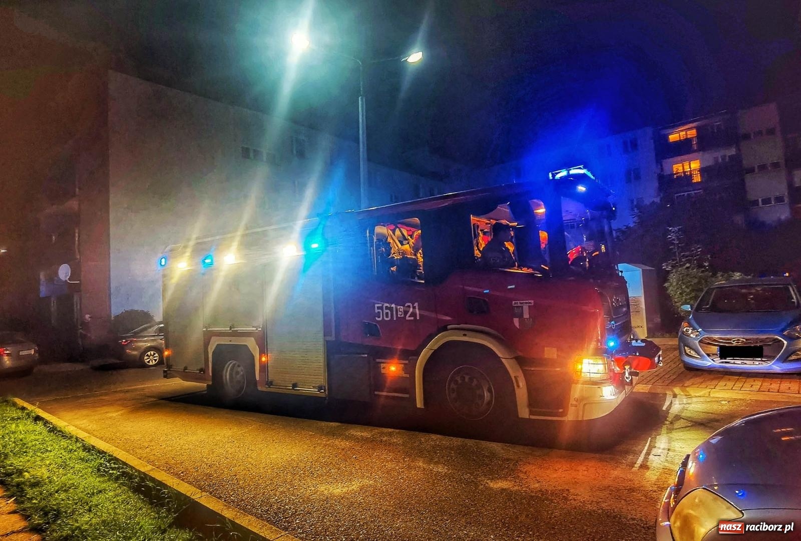 Zdjęcie w galerii na portalu naszraciborz.pl: Raport 998. Nocny atak szerszeni przy Drzymały wiadomości z regionu