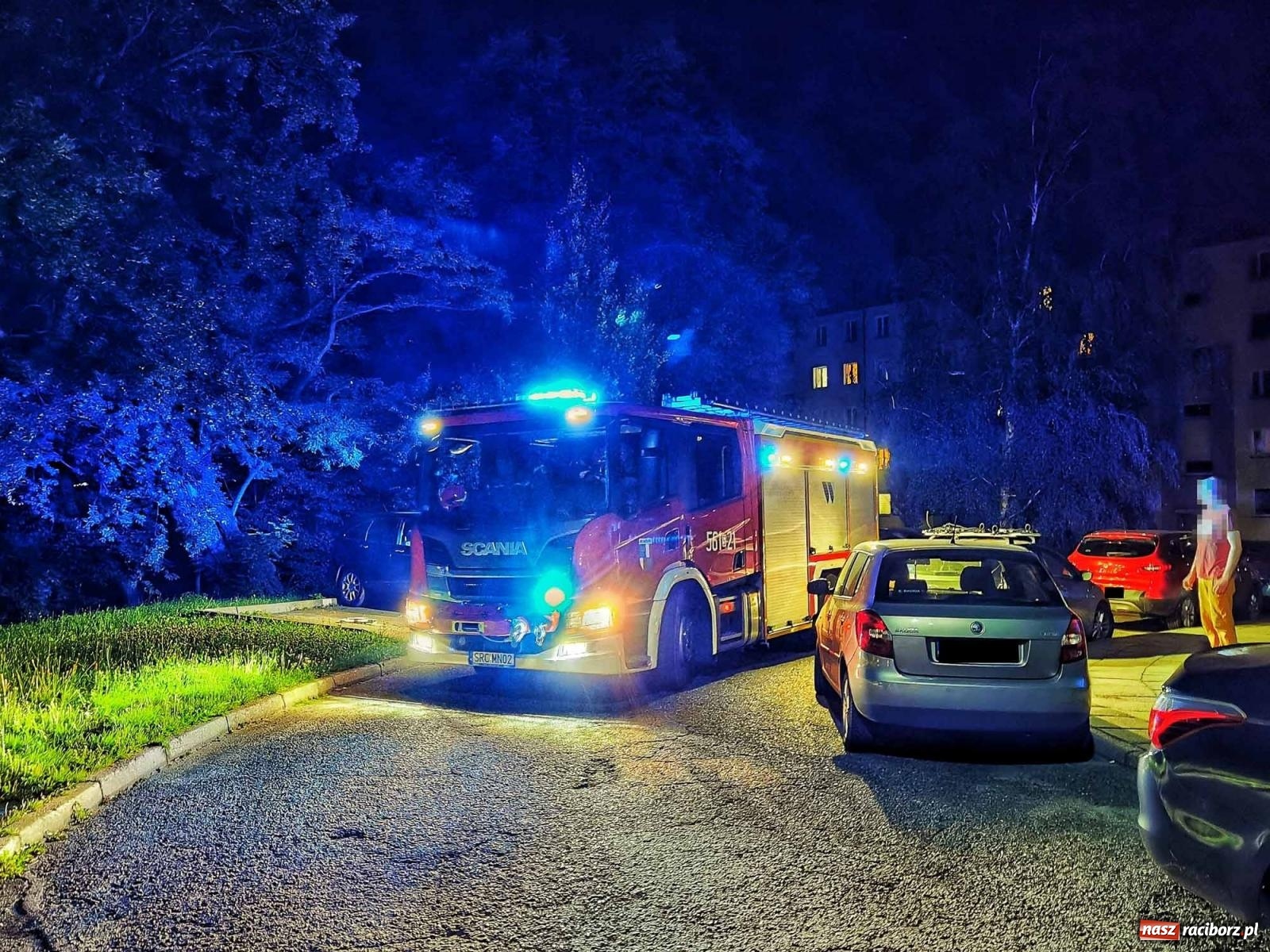 Zdjęcie w galerii na portalu naszraciborz.pl: Raport 998. Nocny atak szerszeni przy Drzymały wiadomości z regionu