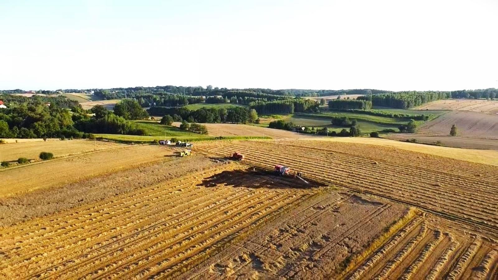 Zdjęcie w galerii na portalu naszraciborz.pl: Iskra z kombajnu przyczyną pożaru [FOTO] wiadomości z regionu