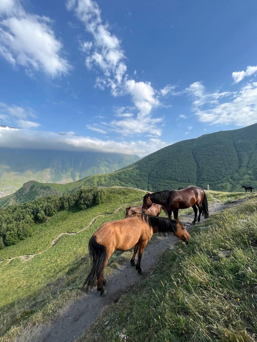 Zdjęcie w galerii na portalu naszraciborz.pl: Pocztówka z Gruzji od tancerzy raciborskiego Źródła wiadomości z regionu