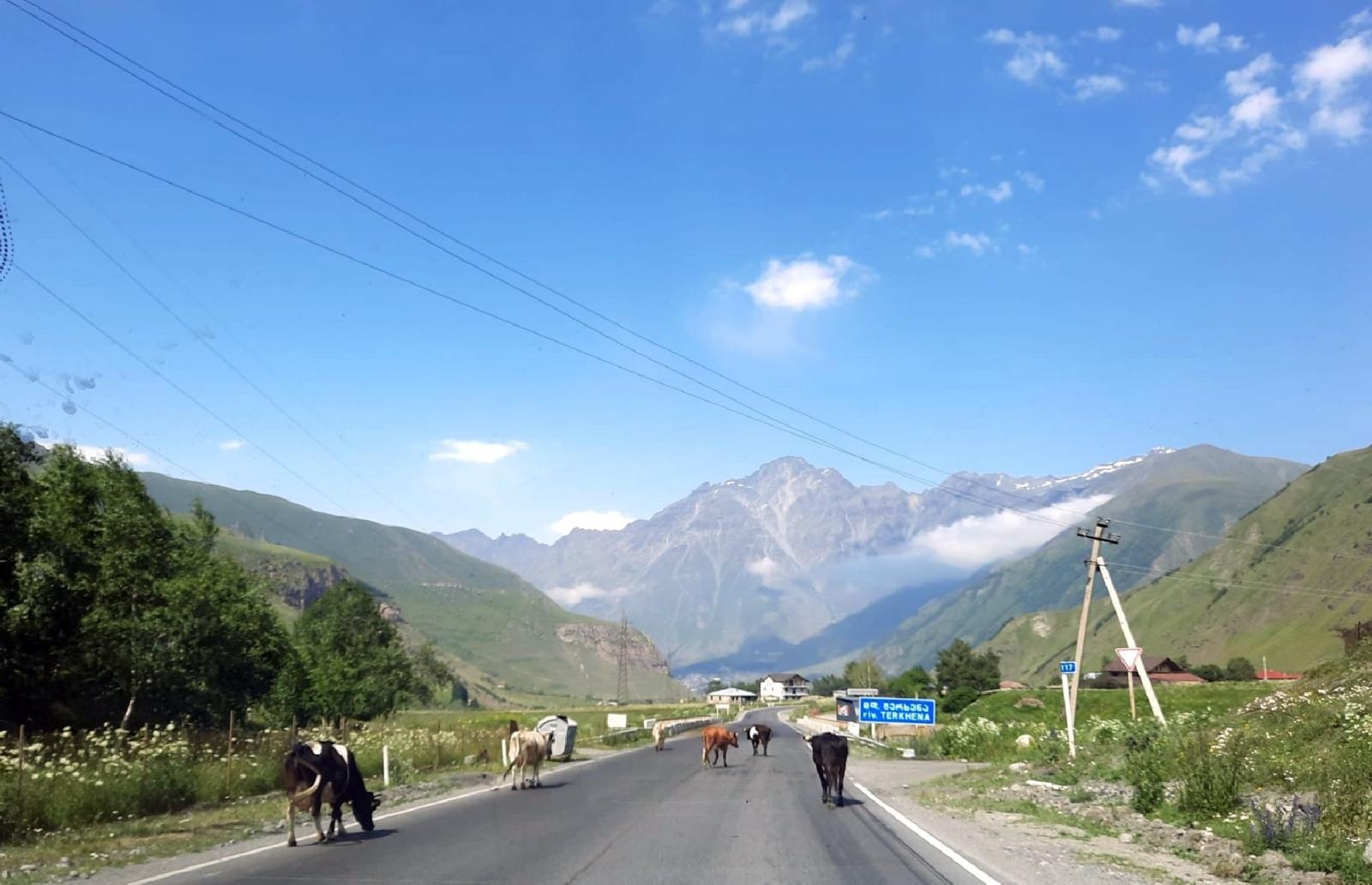 Zdjęcie w galerii na portalu naszraciborz.pl: Pocztówka z Gruzji od tancerzy raciborskiego Źródła wiadomości z regionu