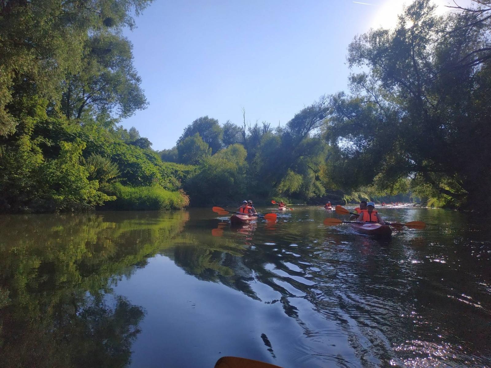 Zdjęcie w galerii na portalu naszraciborz.pl: Wakacje w kajaku – czyli spływ wieczorową porą z Raciborza do Dziergowic wiadomości z regionu