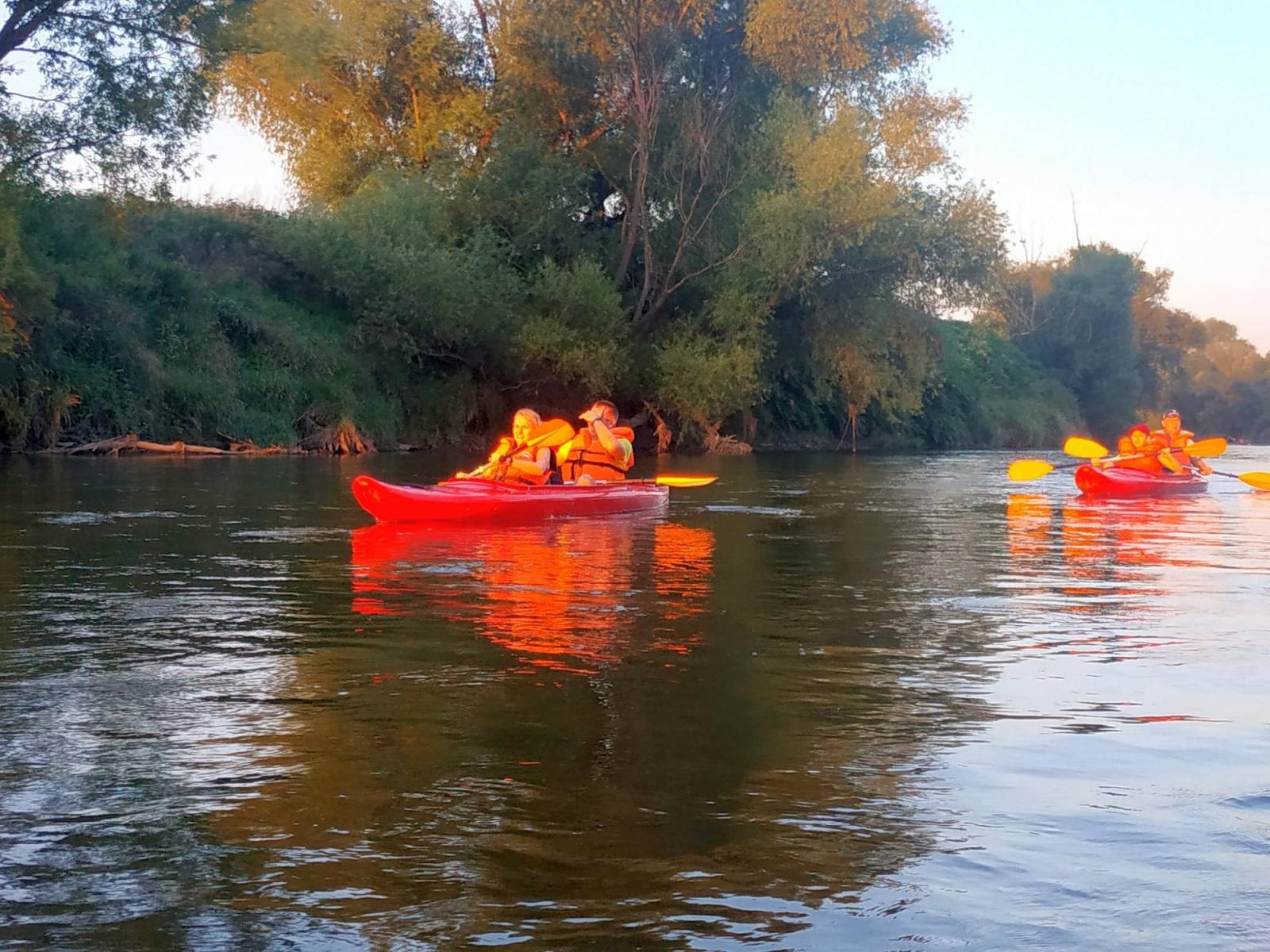 Zdjęcie w galerii na portalu naszraciborz.pl: Wakacje w kajaku – czyli spływ wieczorową porą z Raciborza do Dziergowic wiadomości z regionu