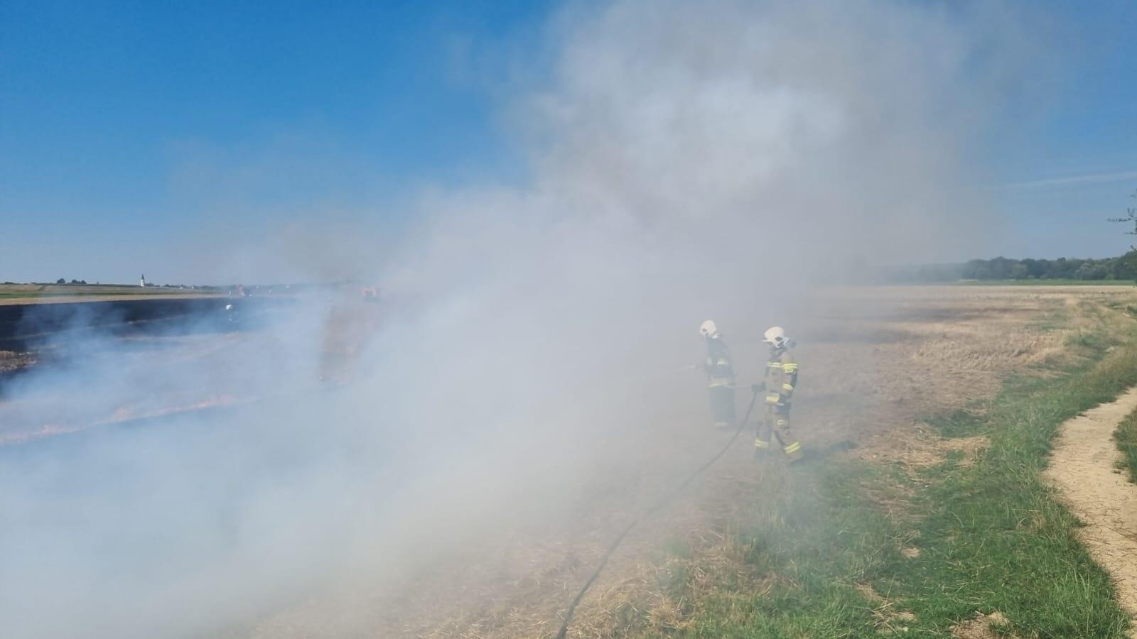 Zdjęcie w galerii na portalu naszraciborz.pl: Pożar ścierniska w Czechach. Polscy strażacy na ratunek wiadomości z regionu