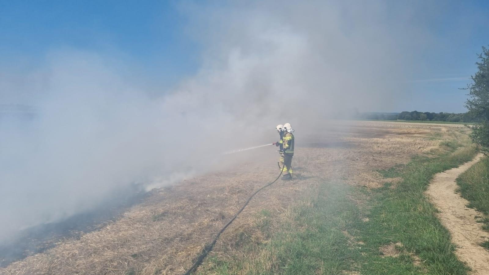 Zdjęcie w galerii na portalu naszraciborz.pl: Pożar ścierniska w Czechach. Polscy strażacy na ratunek wiadomości z regionu