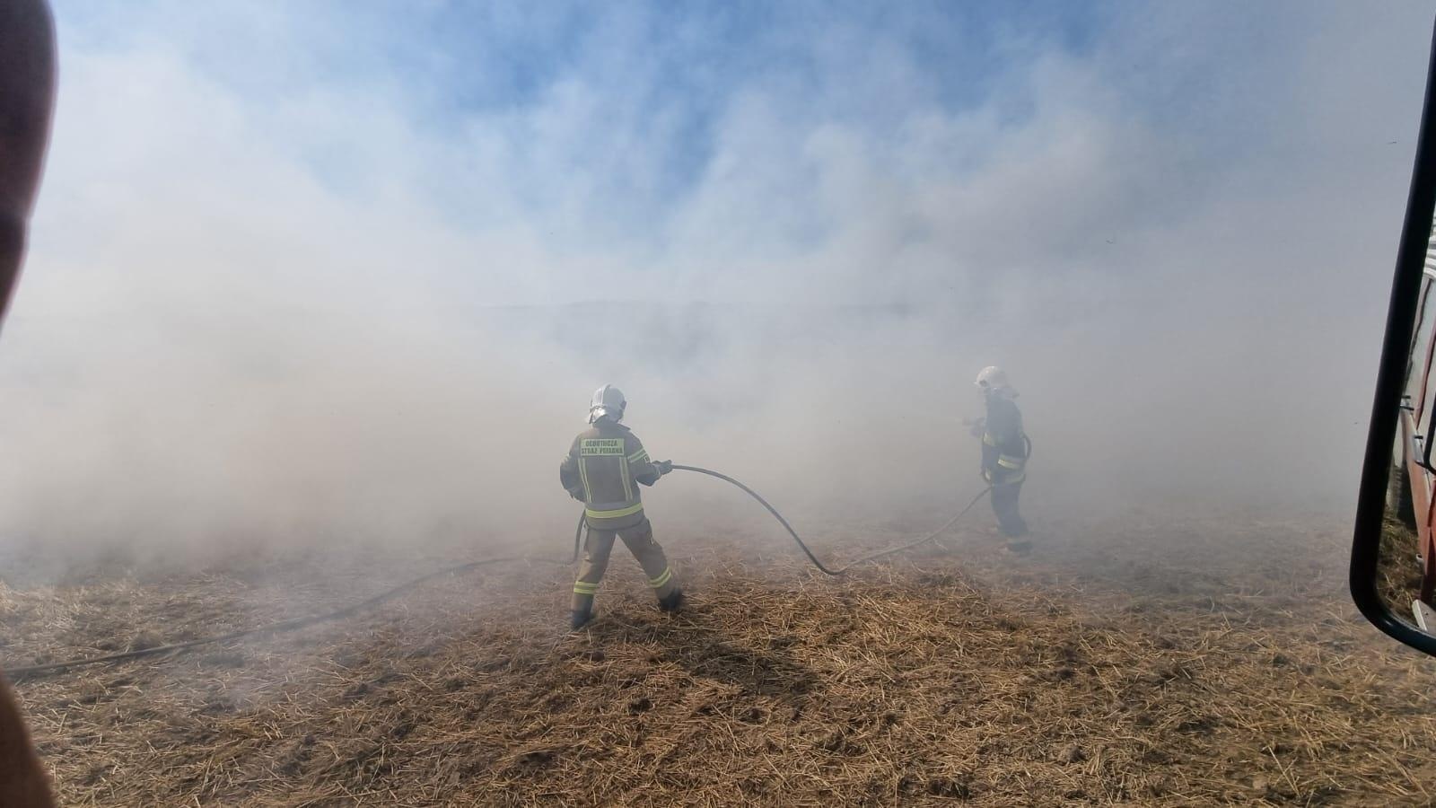 Zdjęcie w galerii na portalu naszraciborz.pl: Pożar ścierniska w Czechach. Polscy strażacy na ratunek wiadomości z regionu