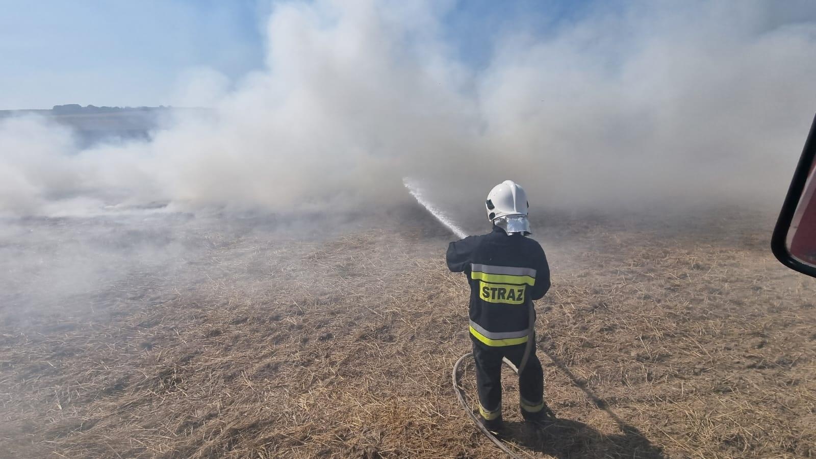 Zdjęcie w galerii na portalu naszraciborz.pl: Pożar ścierniska w Czechach. Polscy strażacy na ratunek wiadomości z regionu
