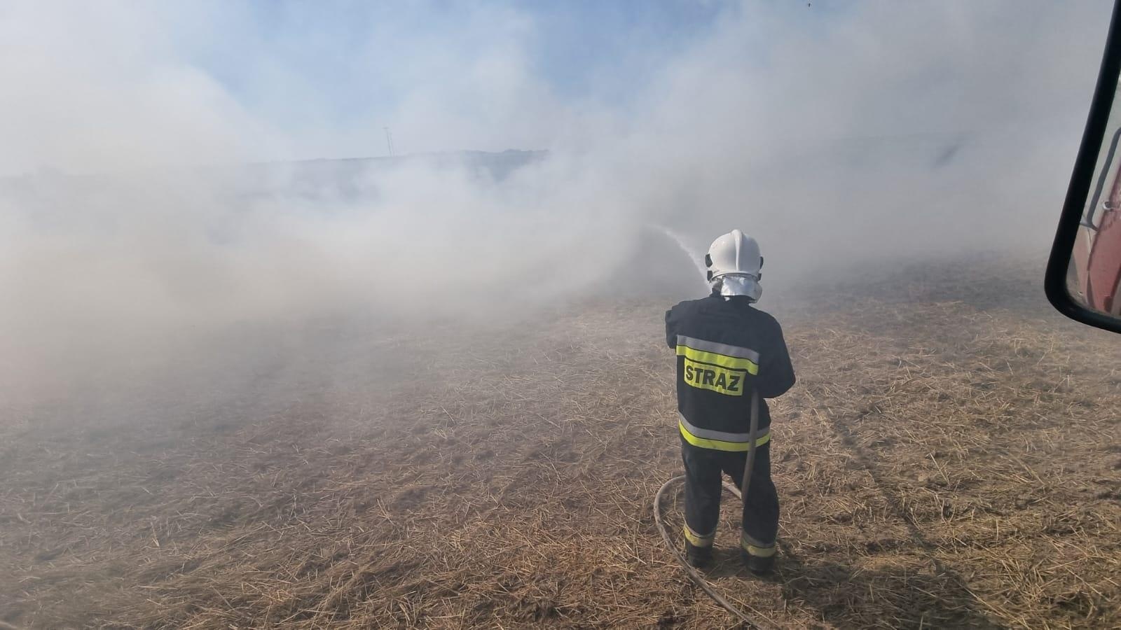Zdjęcie w galerii na portalu naszraciborz.pl: Pożar ścierniska w Czechach. Polscy strażacy na ratunek wiadomości z regionu