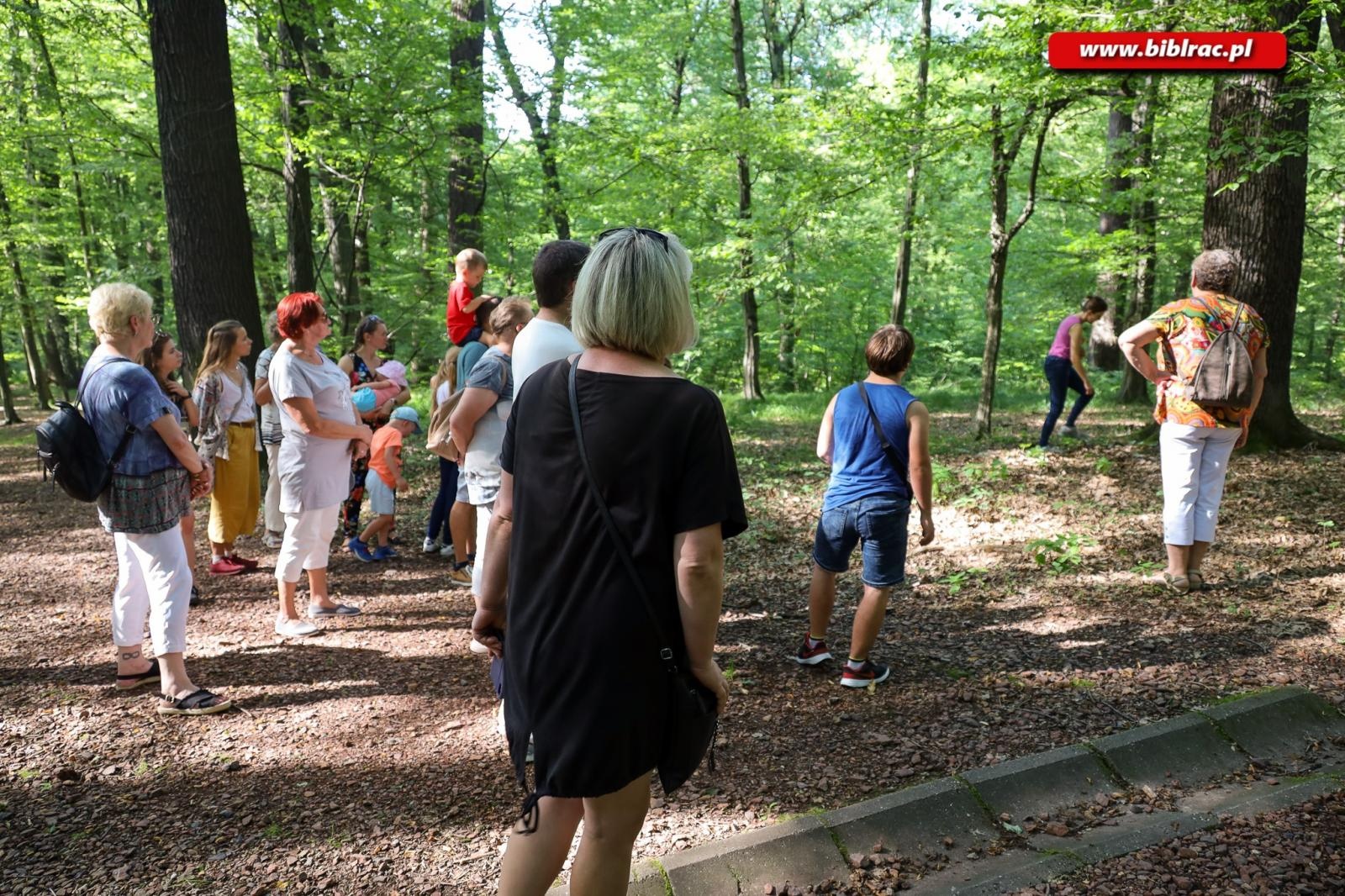 Zdjęcie w galerii na portalu naszraciborz.pl: W pobliżu grabu zrośniętego z sosną. Botaniczny spacer z biblioteką w Arboretum wiadomości z regionu