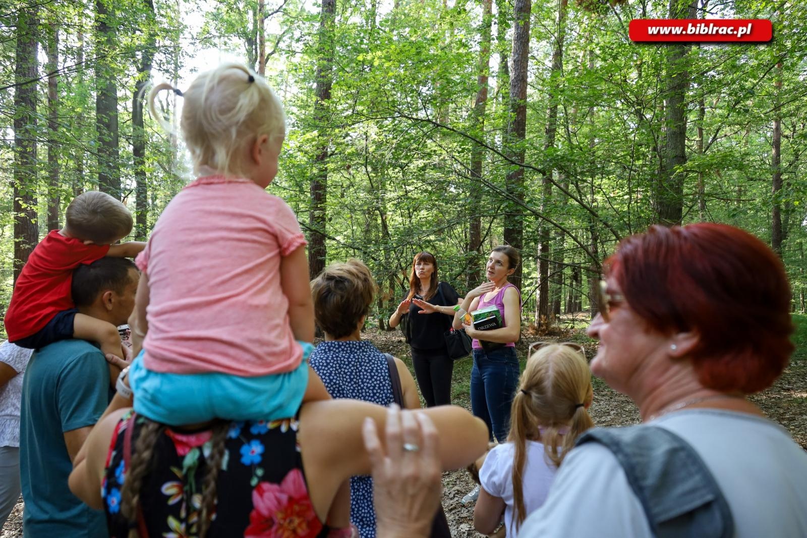 Zdjęcie w galerii na portalu naszraciborz.pl: W pobliżu grabu zrośniętego z sosną. Botaniczny spacer z biblioteką w Arboretum wiadomości z regionu