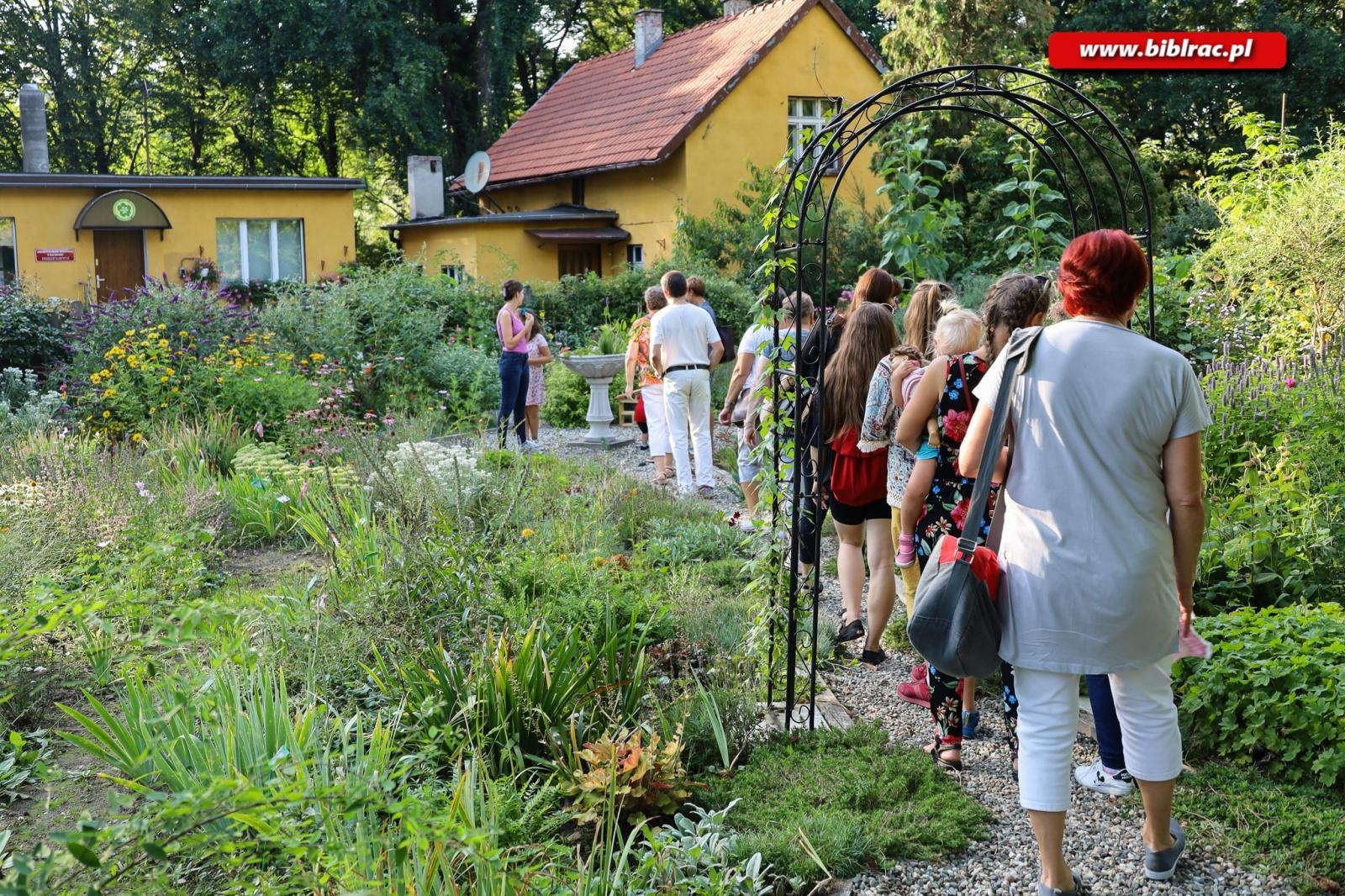 Zdjęcie w galerii na portalu naszraciborz.pl: W pobliżu grabu zrośniętego z sosną. Botaniczny spacer z biblioteką w Arboretum wiadomości z regionu