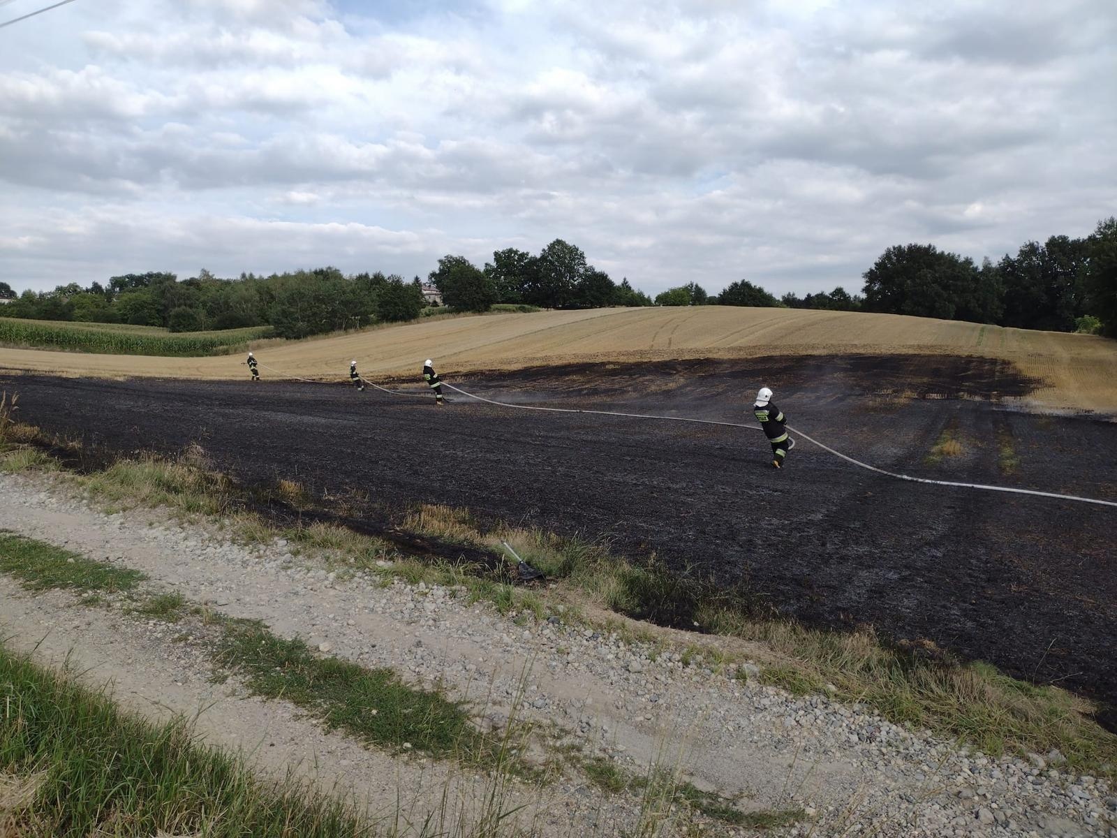 Zdjęcie w galerii na portalu naszraciborz.pl: Raport 998. Dziewięć arów ścierniska poszło z dymem w Rzuchowie wiadomości z regionu