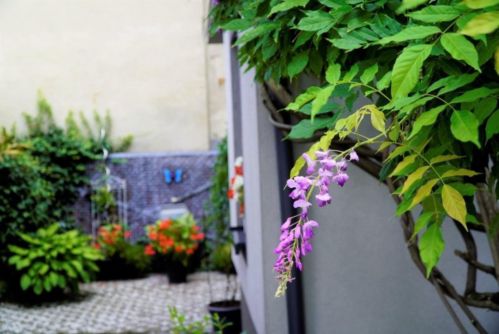 Zdjęcie w galerii na portalu naszraciborz.pl: Konkurs Zielono mi rozstrzygnięty wiadomości z regionu